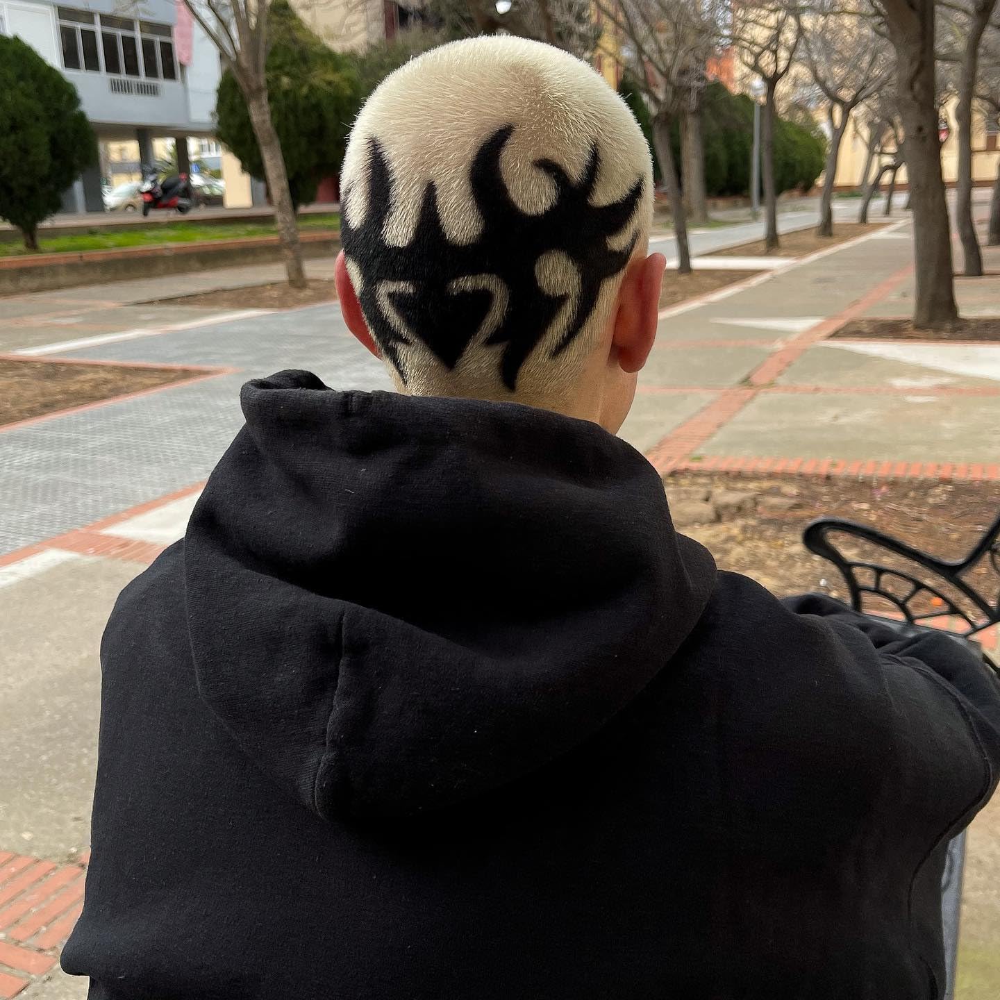 Crazy Color Black Semi-Permanent Hair Dye Duo - Vegan, Conditioning Blue Black Color 8