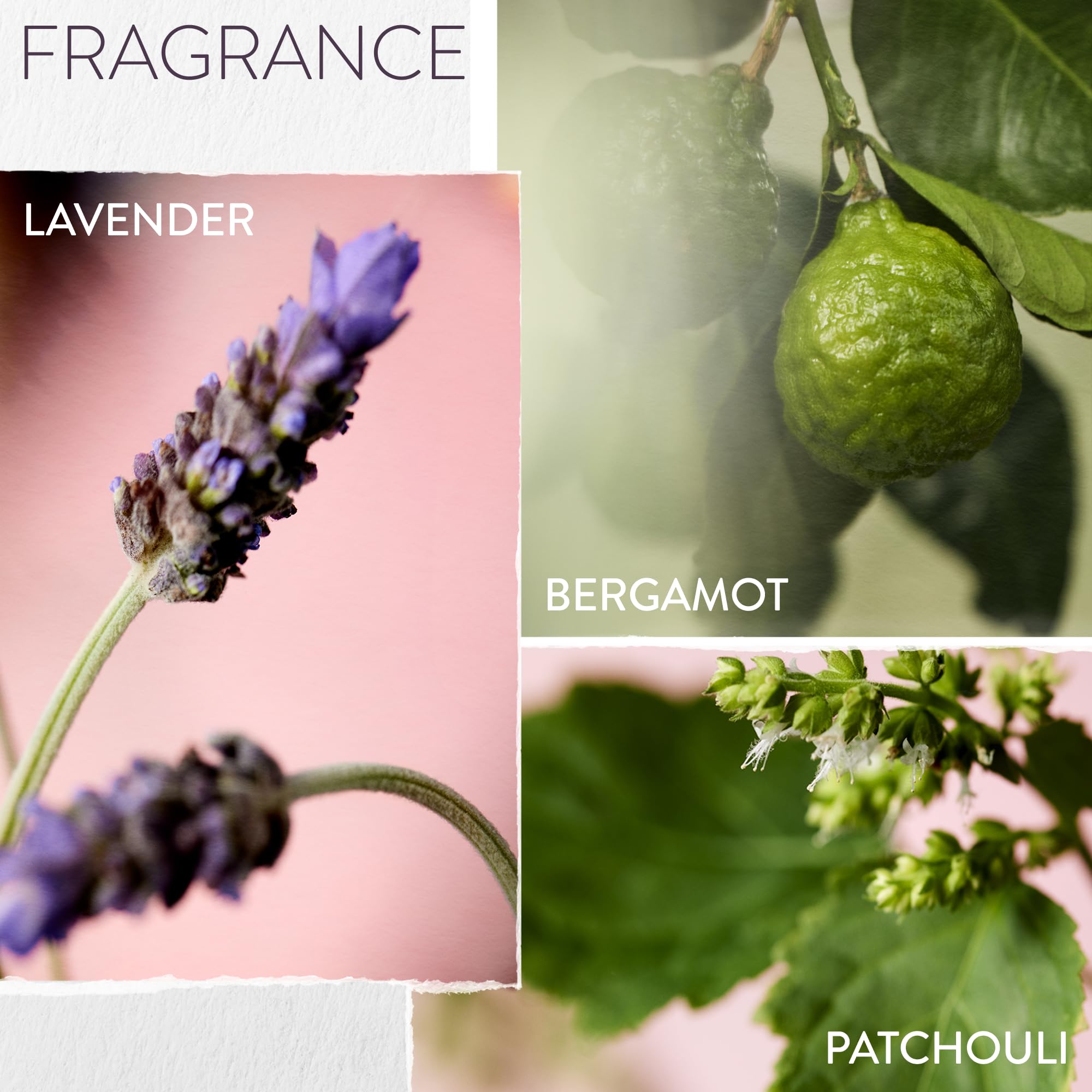 PUREOLOGY Hydrate Sheer Moisturising Shampoo for Fine, Colour Treated Hair - Vegan & Sulphate Free 7