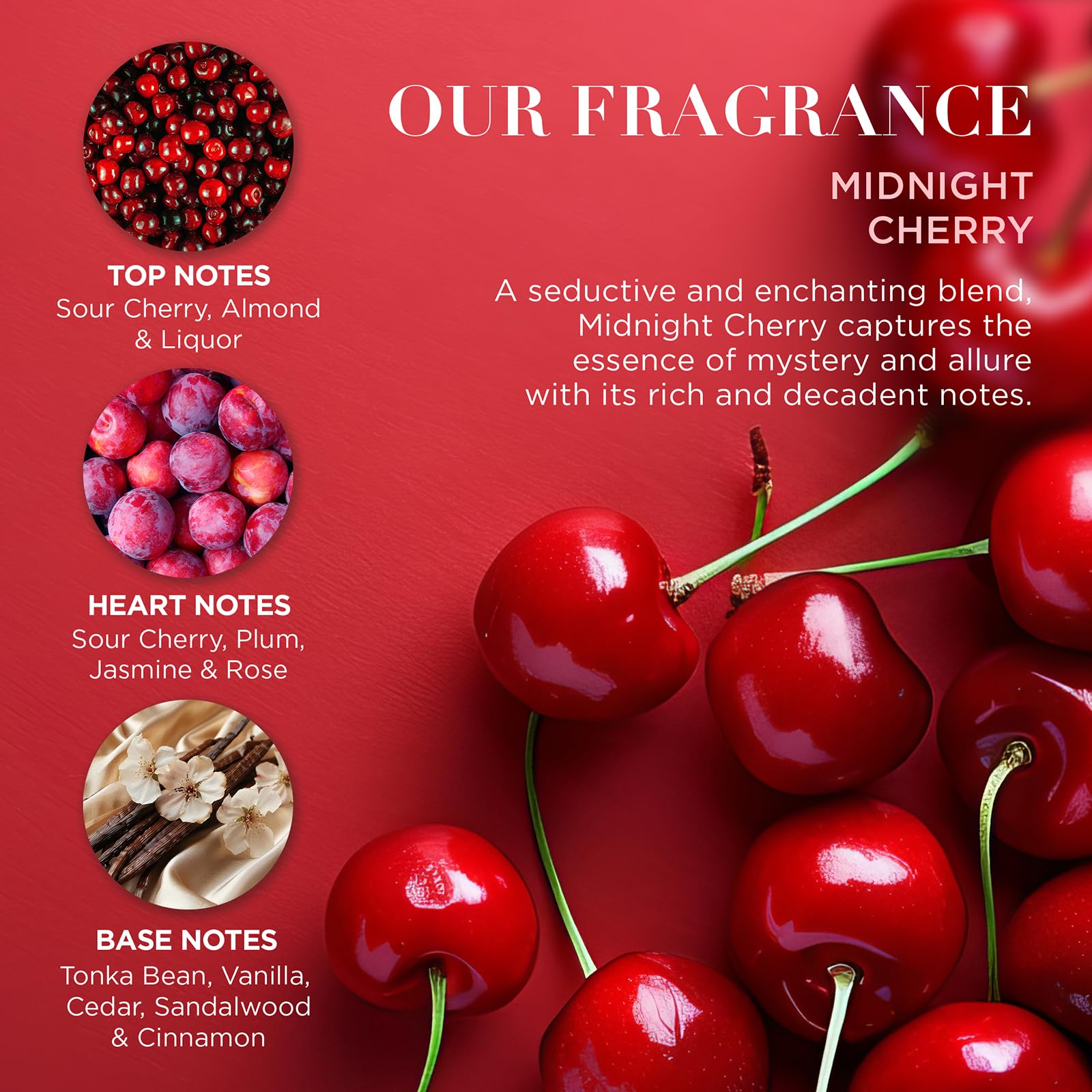Baylis & Harding Midnight Cherry Glossy Lip Trio Gift Set - Vegan Friendly 4