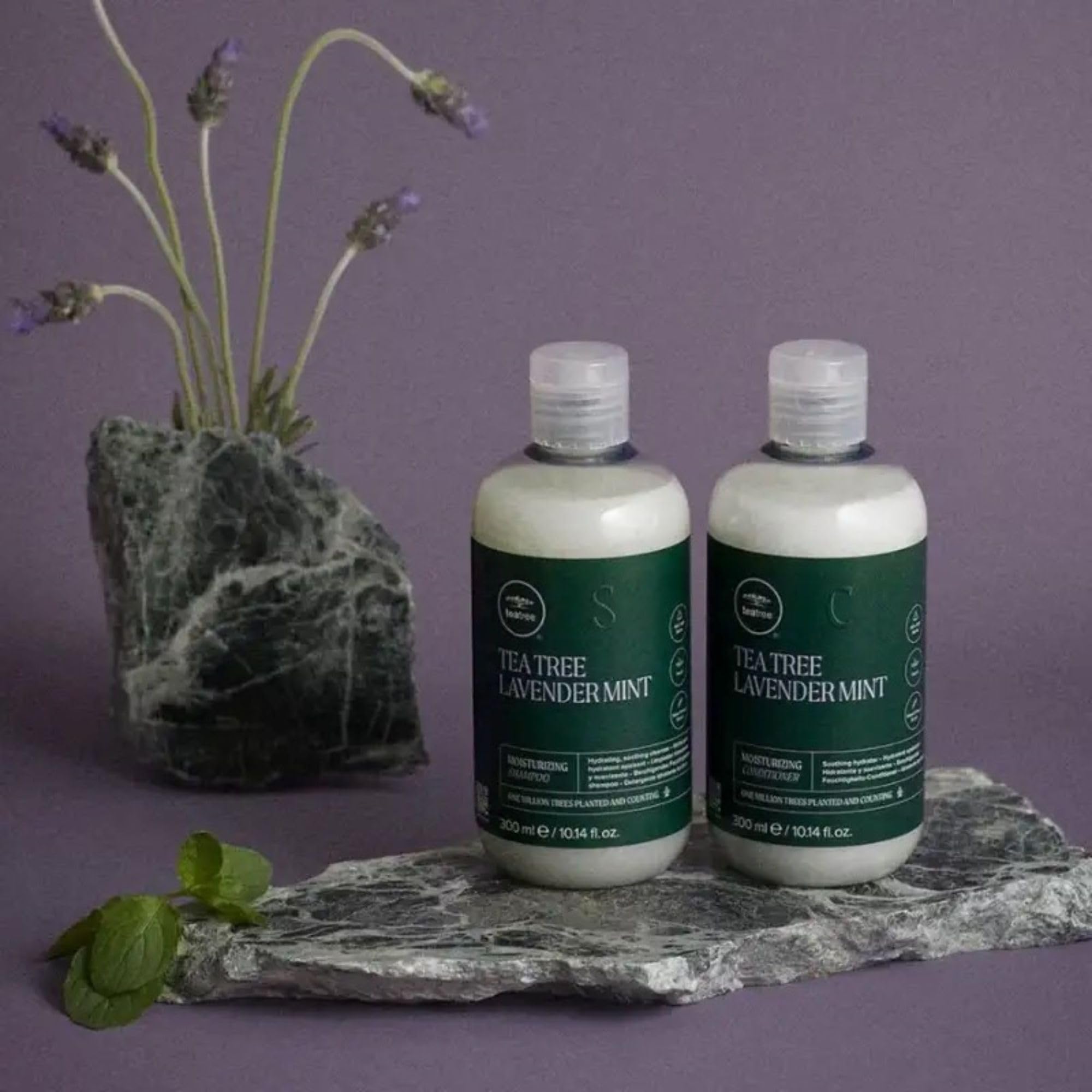 Paul Mitchell Tea Tree Lavender Mint Moisturising Shampoo for Dry, Unruly Hair 300 ml 6