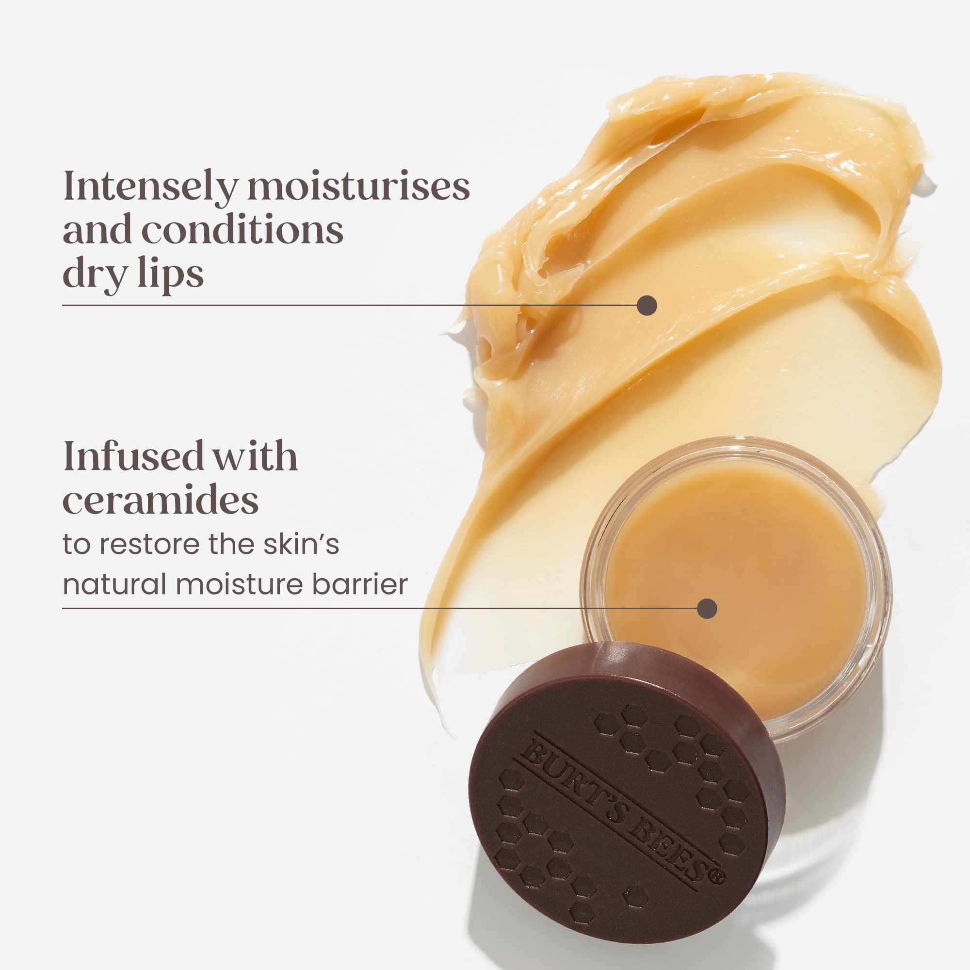 Burt's Bees 100% Natural Overnight Intensive Lip Treatment for Ultra-Conditioning Lip Care (7.08 g)