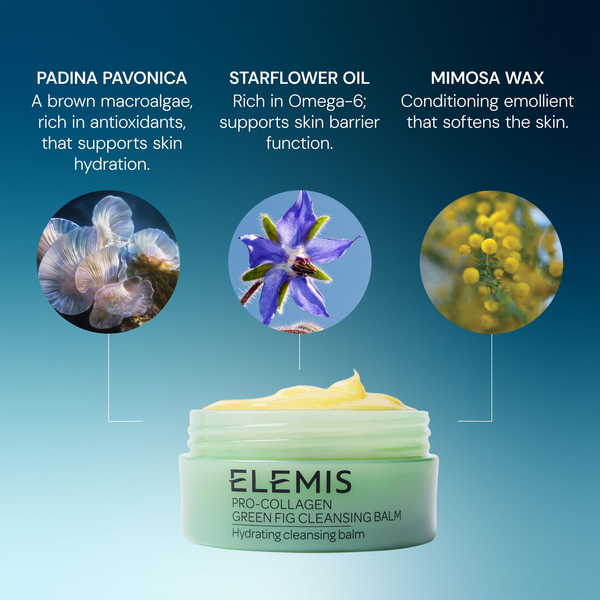 ELEMIS Pro-Collagen Green Fig Cleansing Balm 100g 5