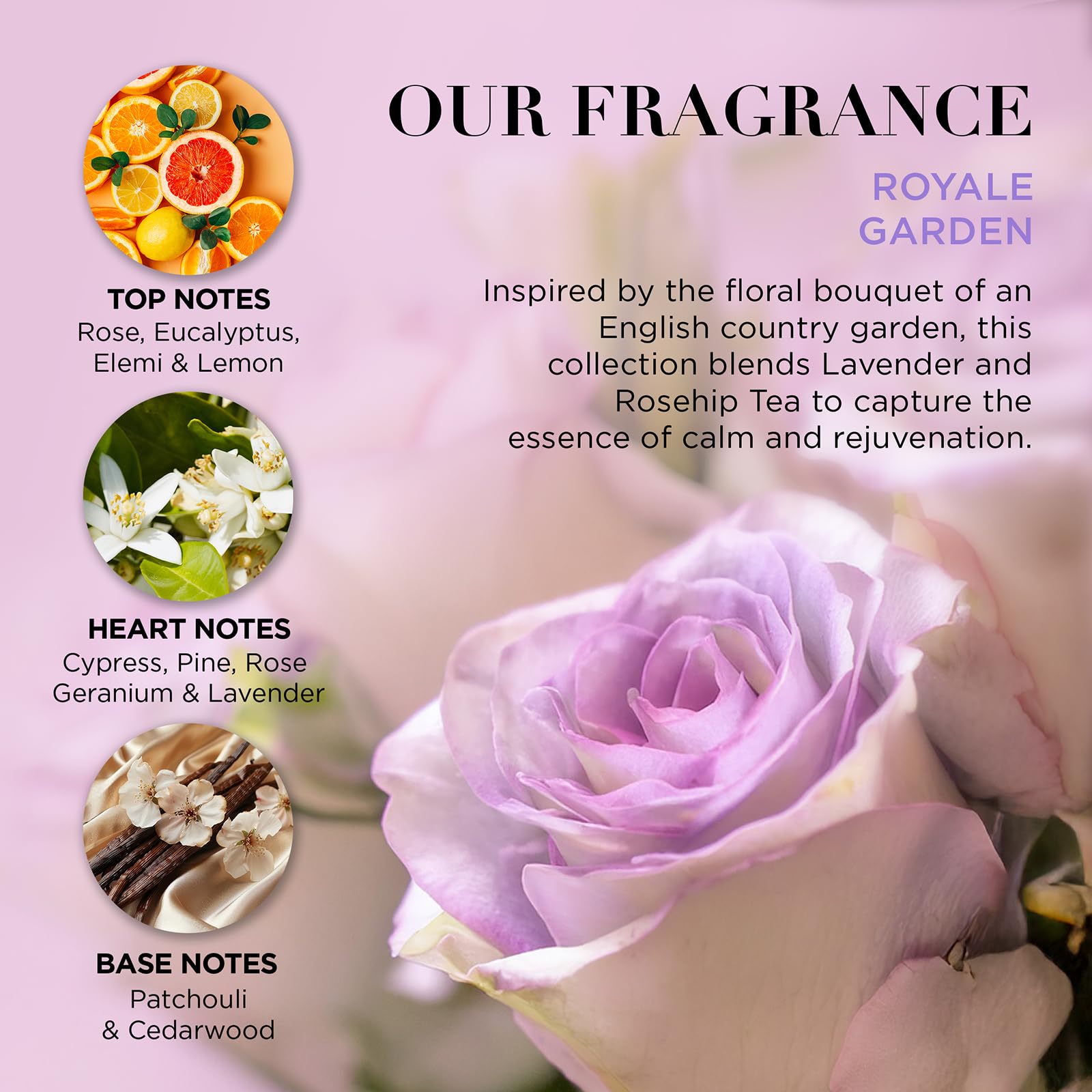 Baylis &amp; Harding Royale Garden Lavendel- &amp; Hagebuttentee Luxus-Handpflege-Geschenkset (1 Stück) - Vegan 4