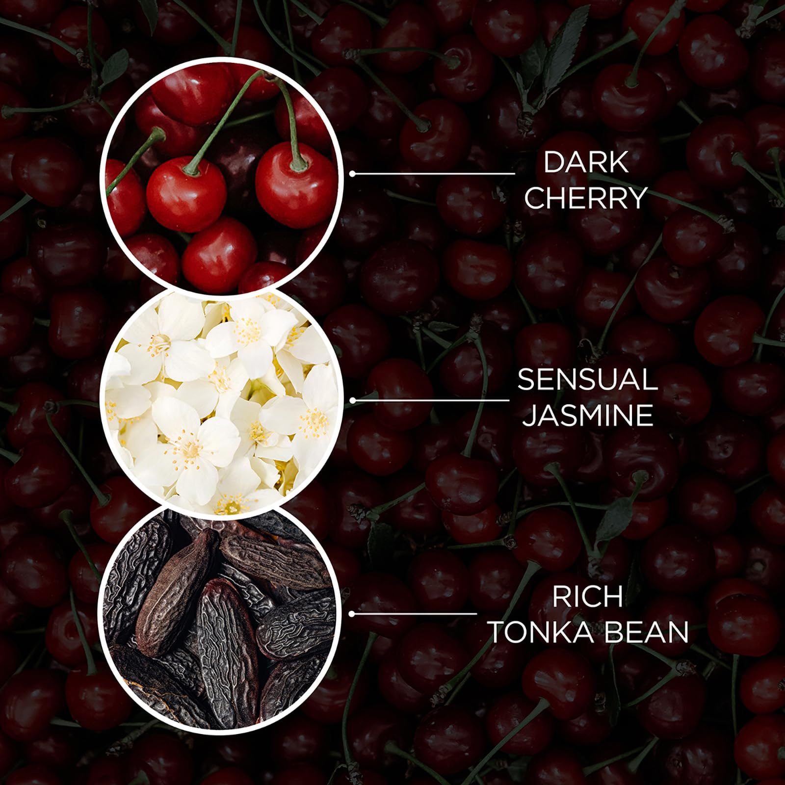 Baylis &amp; Harding The Edit Cherry Temptation Bodylotion, 236 ml (1er-Pack) 3