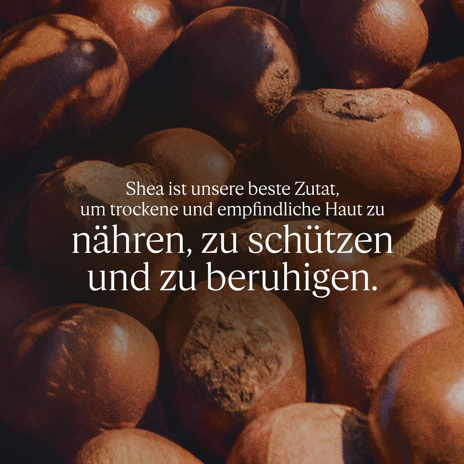 L'OCCITANE Shea Light Comforting Face Cream 50ml with 5% Shea Butter