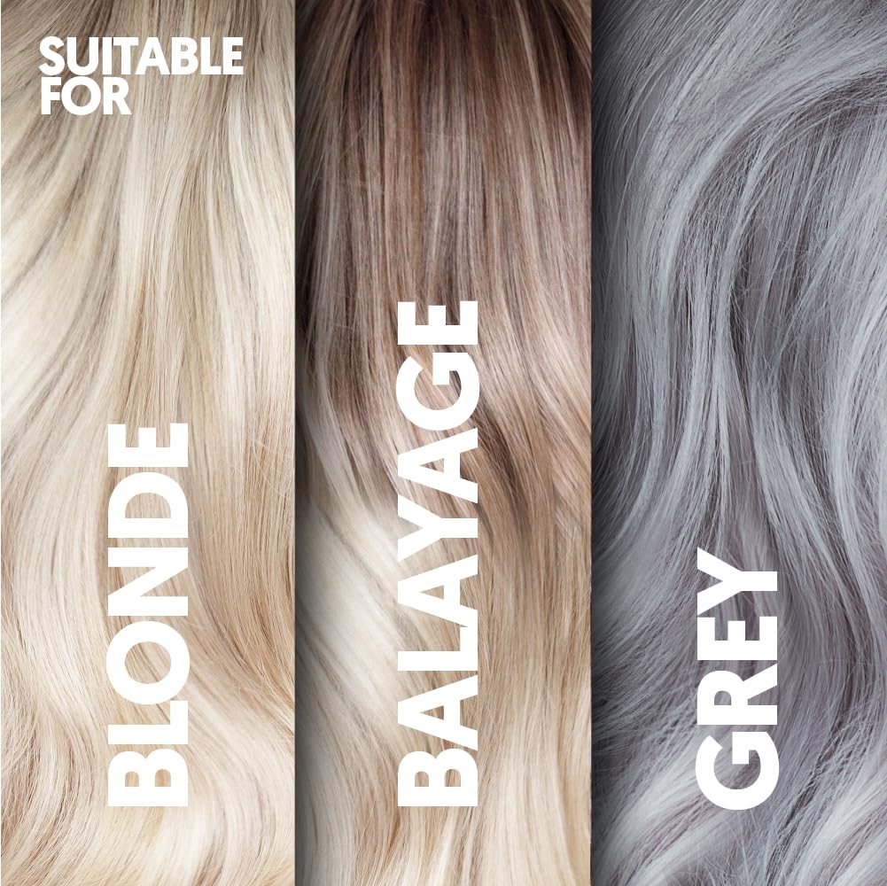 PROVOKE Go Ashy Conditioner 200ml, entfernt Gelbstich und verleiht dem Haar einen silbrigen Ton, formuliert mit Triple Toning Technology, verwandelt warmes und gelbstichiges Haar in kühles und aschiges Haar 6