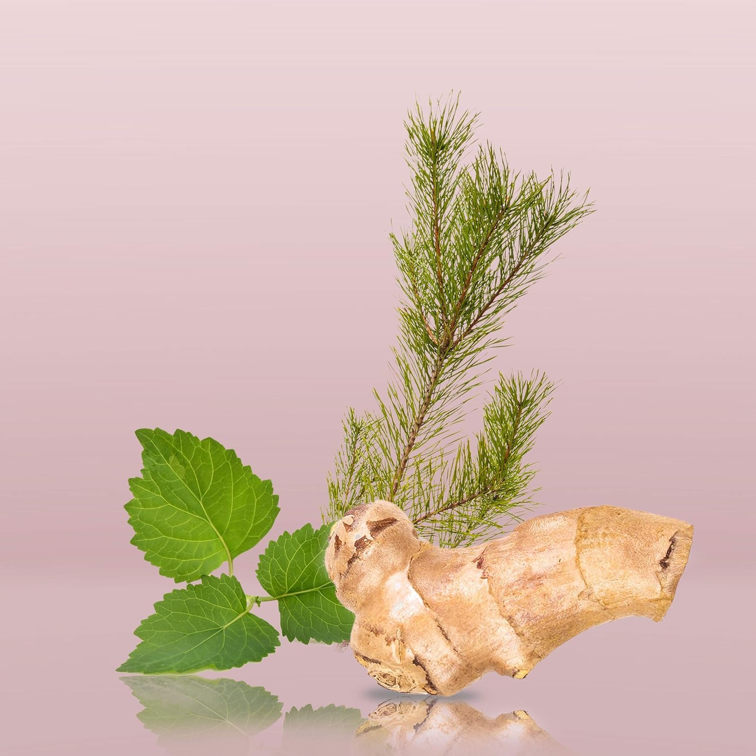 Calvin Klein Euphoria for Men Deodorant Stick 75g 3