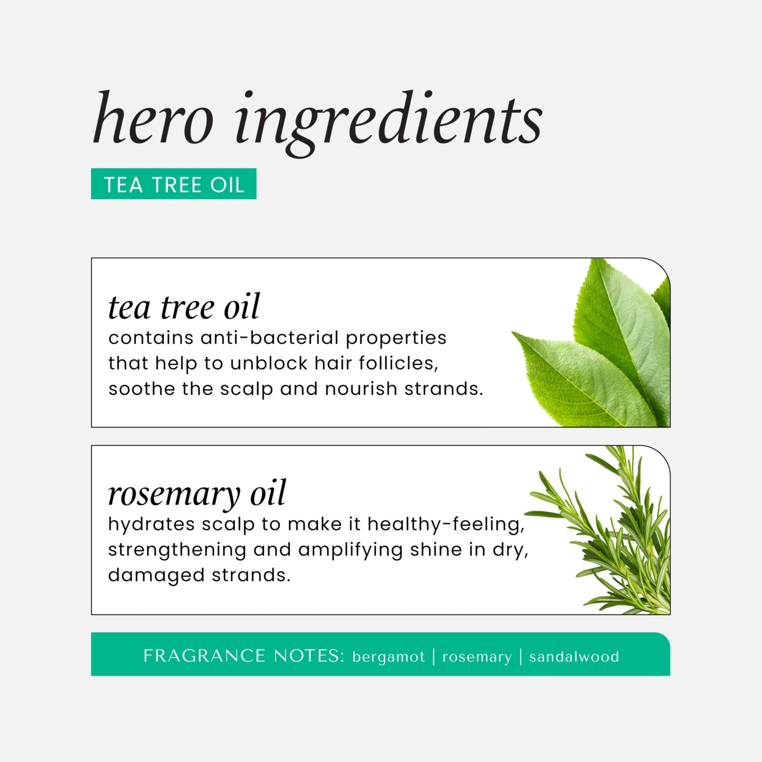 HASK Invigorating Tea Tree Oil Shampoo for All Hair Types, Thickening and Soothing 7