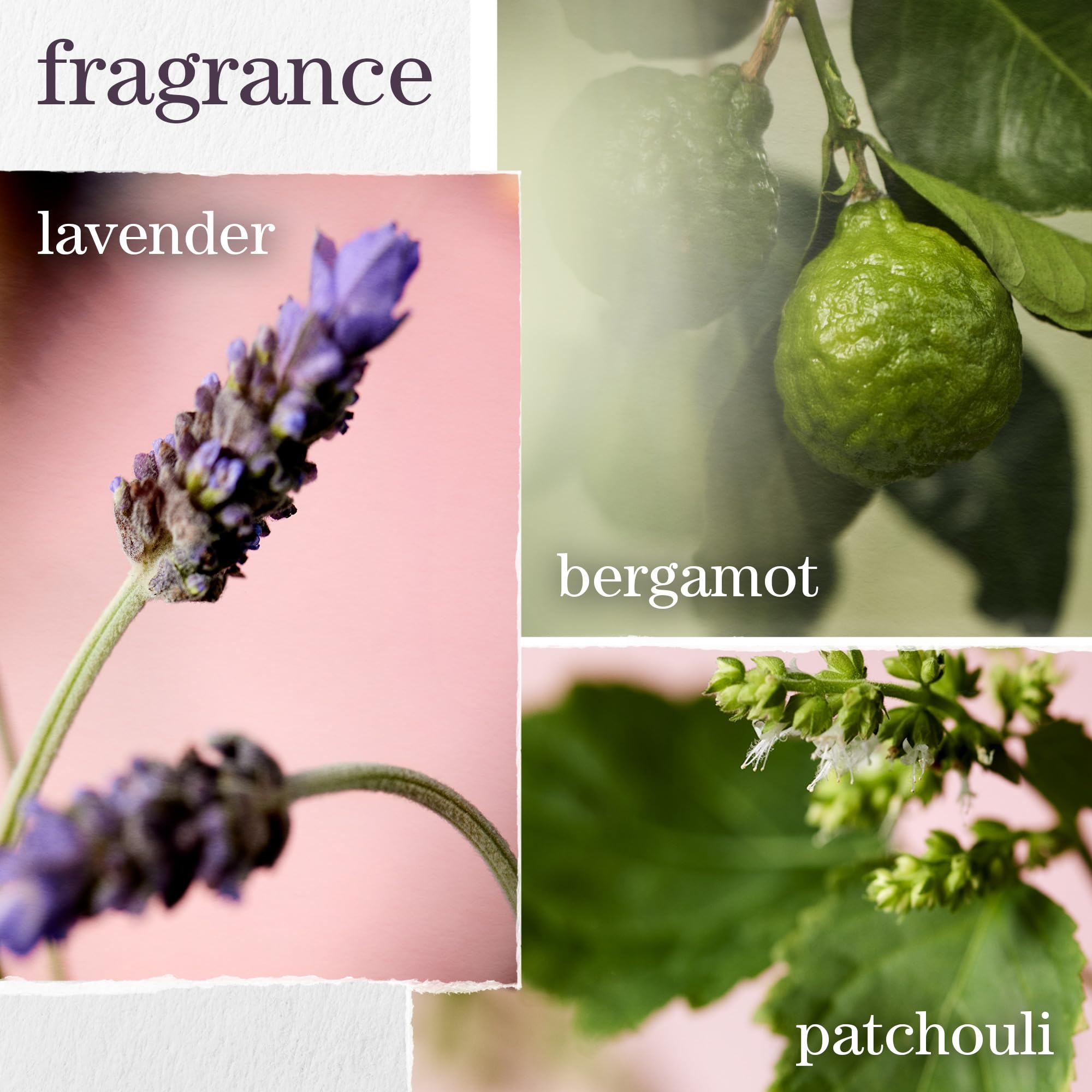 PUREOLOGY Hydrate Sheer Moisturising Shampoo for Fine, Colour Treated Hair - Vegan & Sulphate Free 5