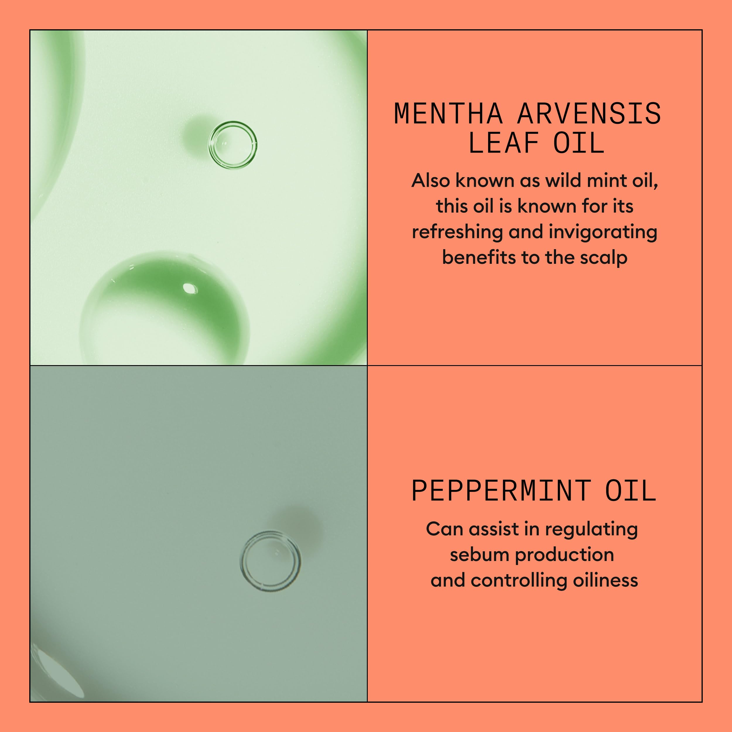 Nioxin System 4 Kopfhaut- und Haarspülung – Haarverdichtungsspülung für 6