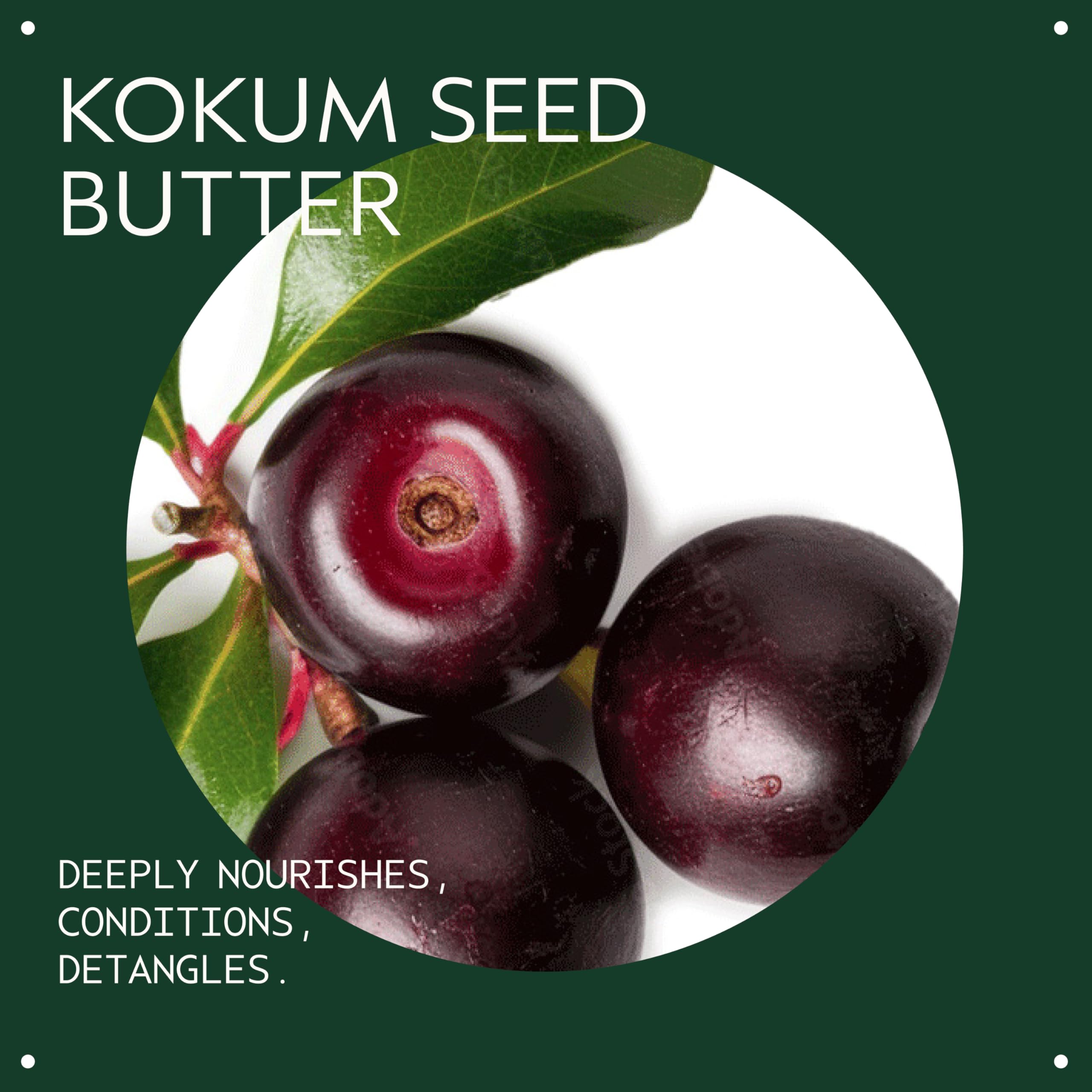 Aveda Be Curly Advanced Conditioner for Wavy to Coily Hair Hydration 3