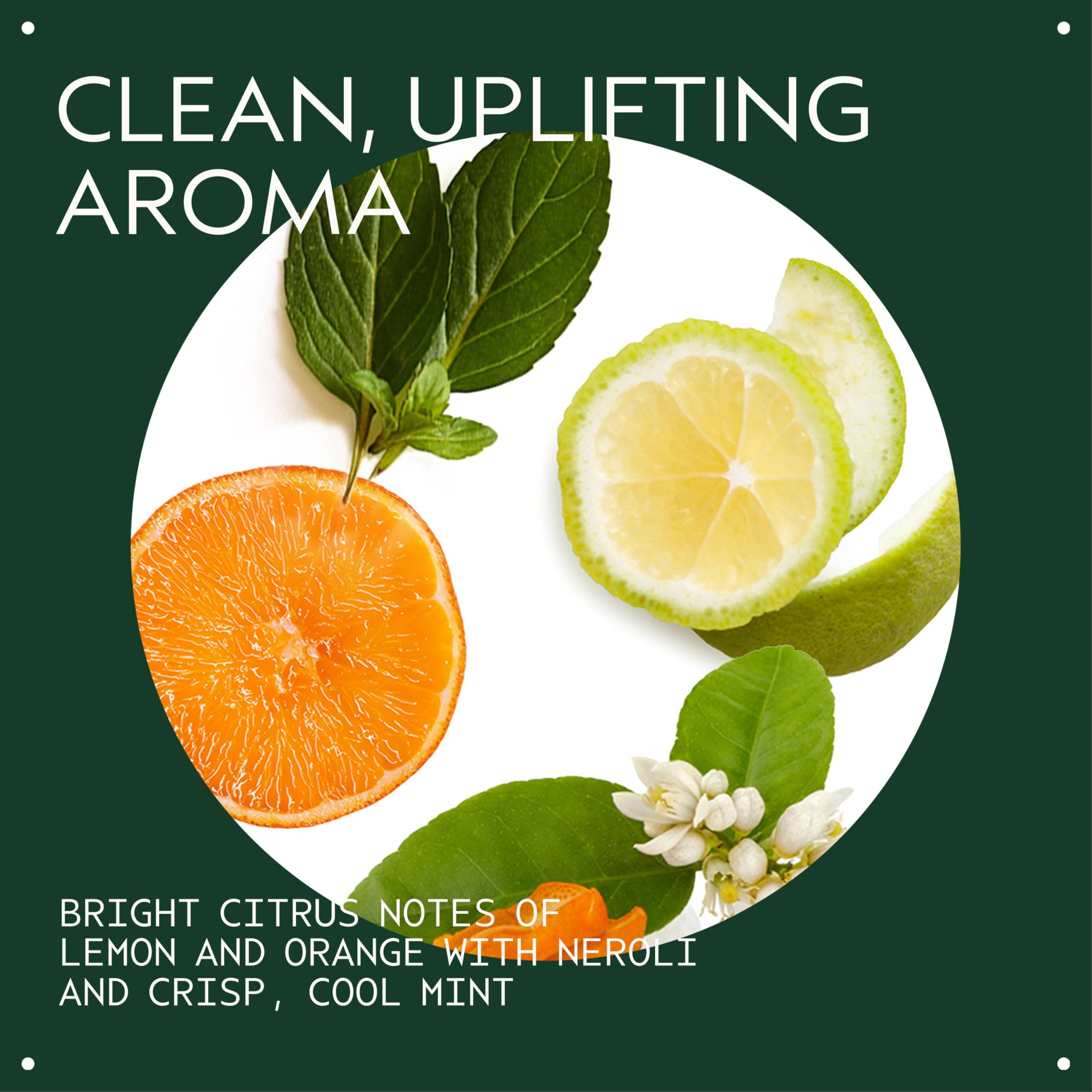 Aveda Scalp Solutions Balancing Shampoo | Gentle Purifying Shampoo for All Hair Types 3