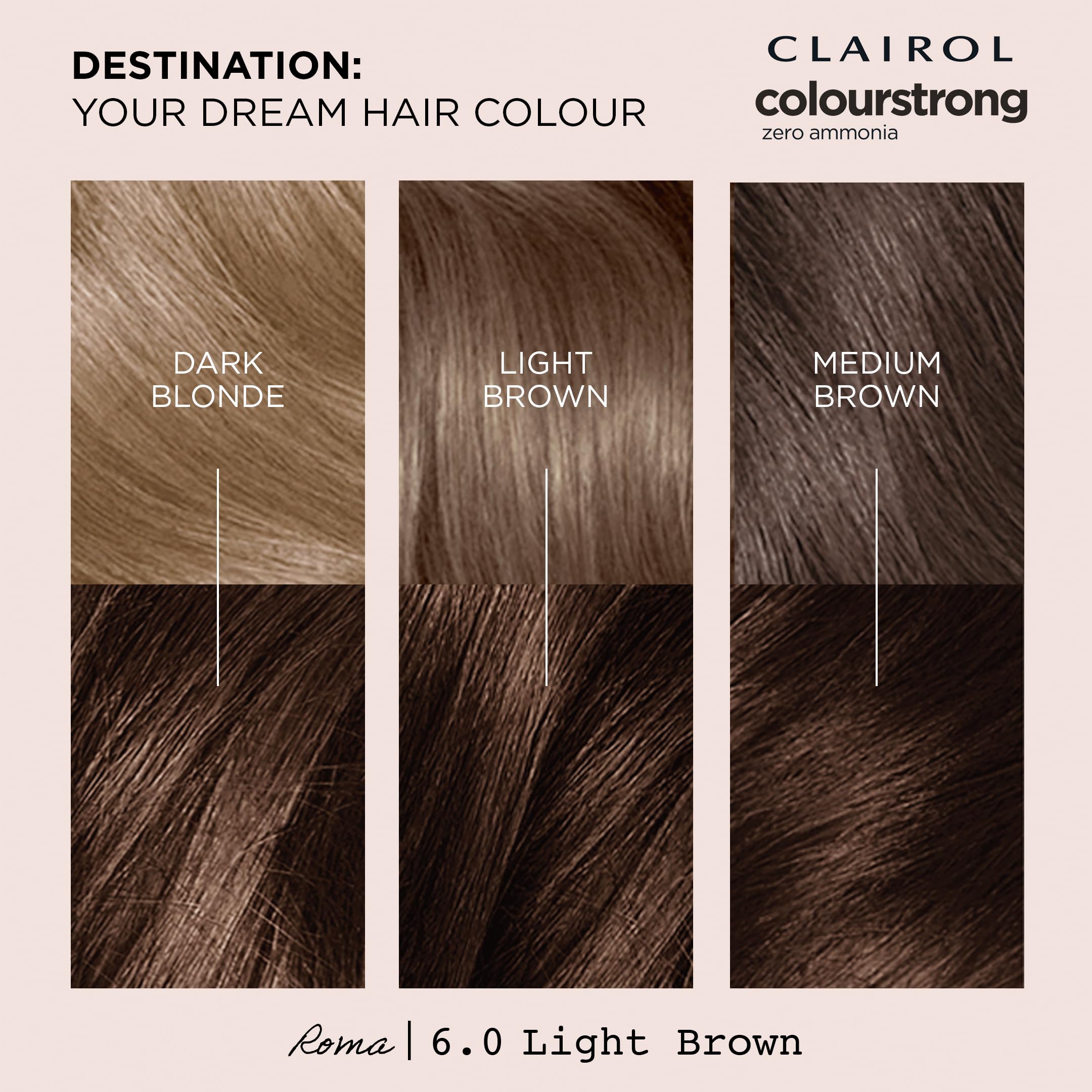 Clairol Colour Strong Permanente Haarfarbe – 6.0 Hellbraun