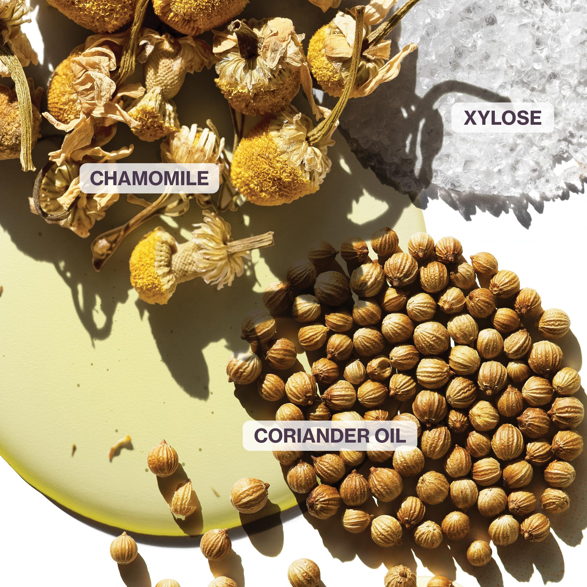 PUREOLOGY Strength Cure Miracle Filler Hair Treatment for Strength