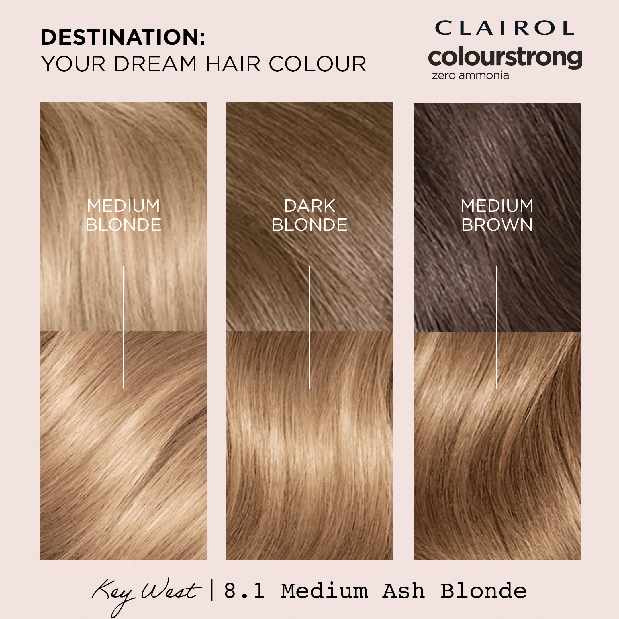 Clairol Colour Strong Permanente Haarfarbe – 8.1 Mittelblond Aschblond