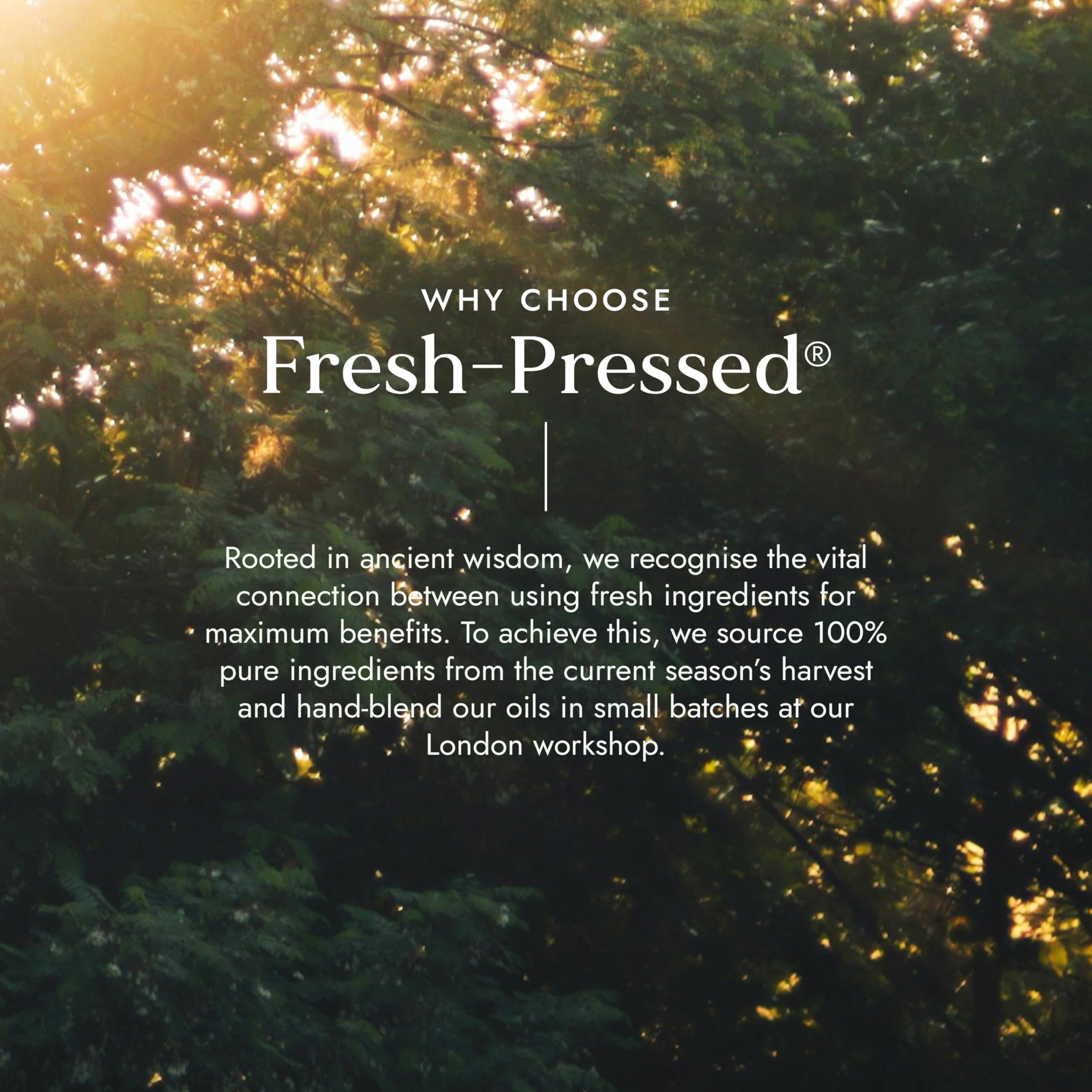 Fushi Bio-Rizinusöl Glow mit Weihrauch – Verjüngt und regeneriert die Haut – Reduziert Hautunreinheiten und -makel – 100 % rein, kaltgepresst und frisch – 100 ml 6