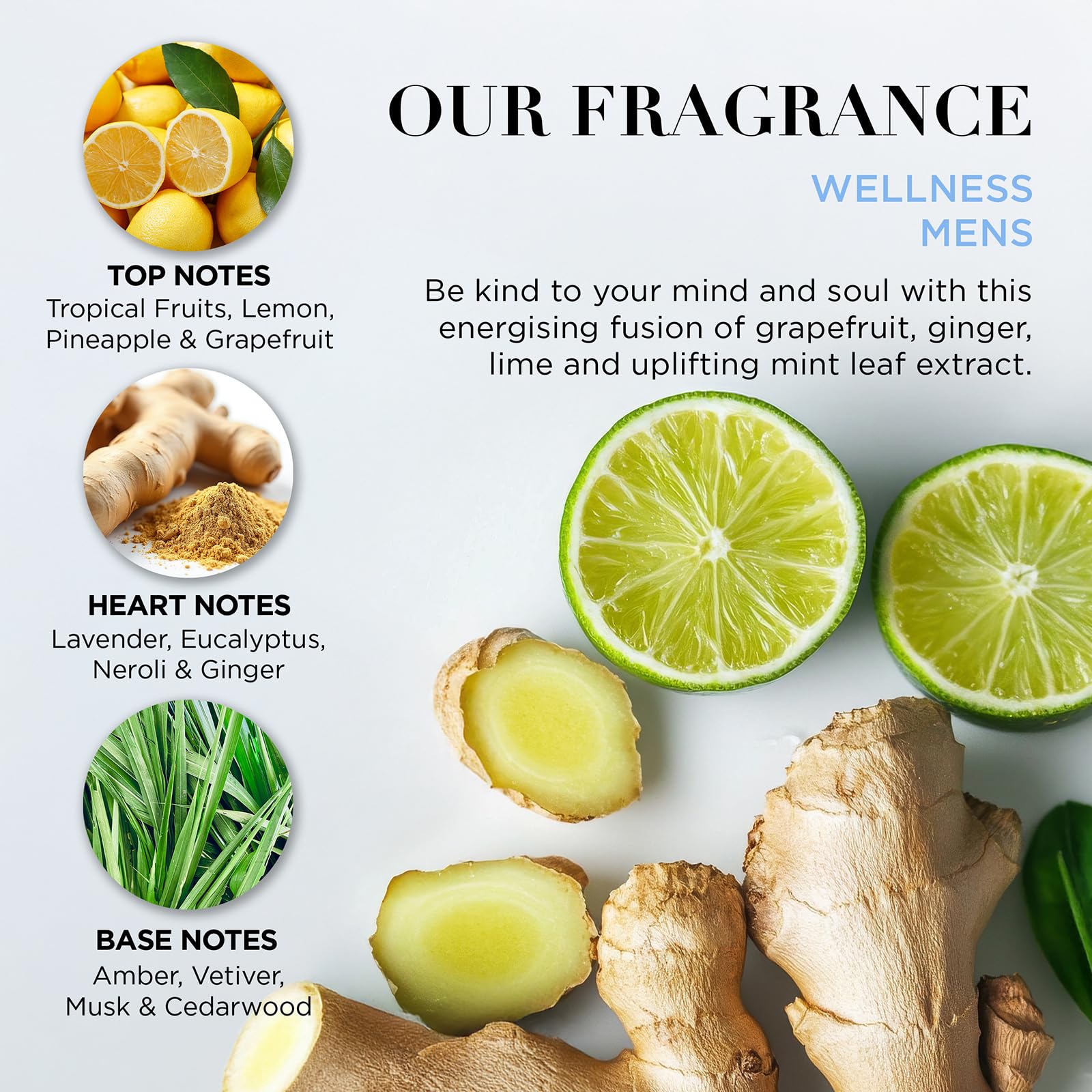 Baylis & Harding Wellness For Men Everyday Revival Kit Gift Set with Grapefruit & Ginger 4