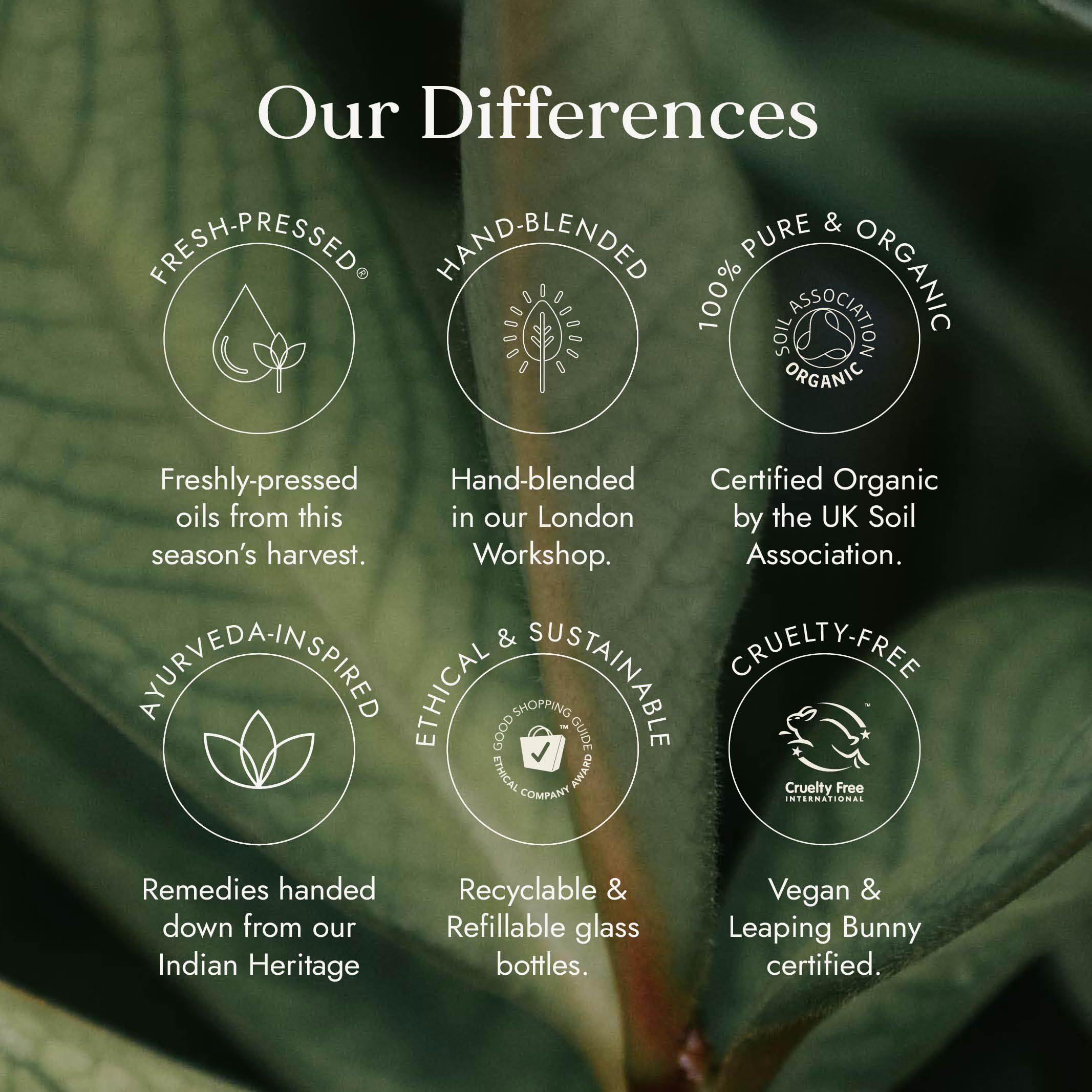 Fushi Bio-Rizinusöl 10 ml Roll &amp; Glow, 100 % rein, kaltgepresst, für trockene Haut, Wimpern und Augenbrauen – praktische Größe für unterwegs, hexanfrei, natürlich, lebensmittelecht 7