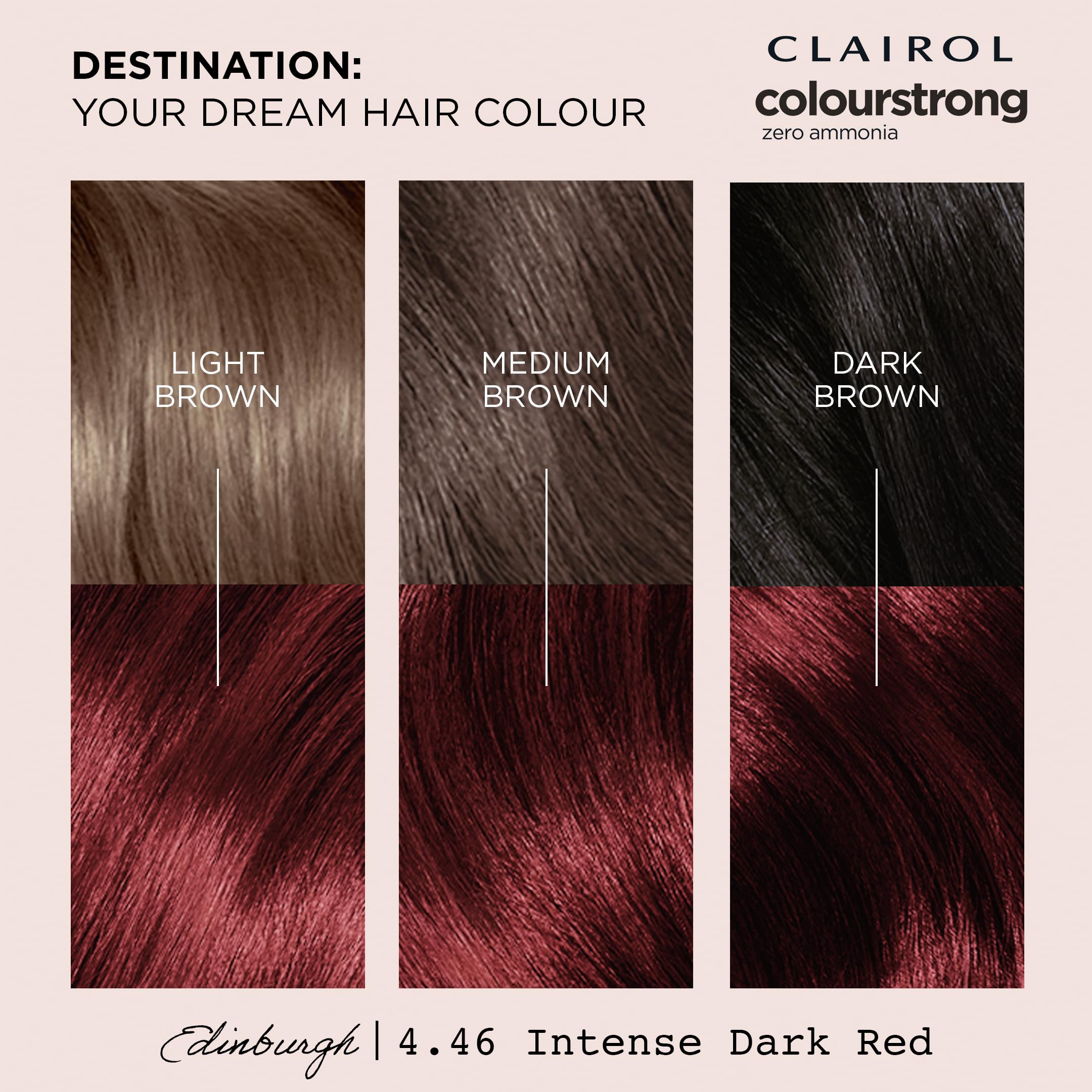 Clairol Colour Strong Permanente Haarfarbe – 4.46 Intensives Dunkelrot