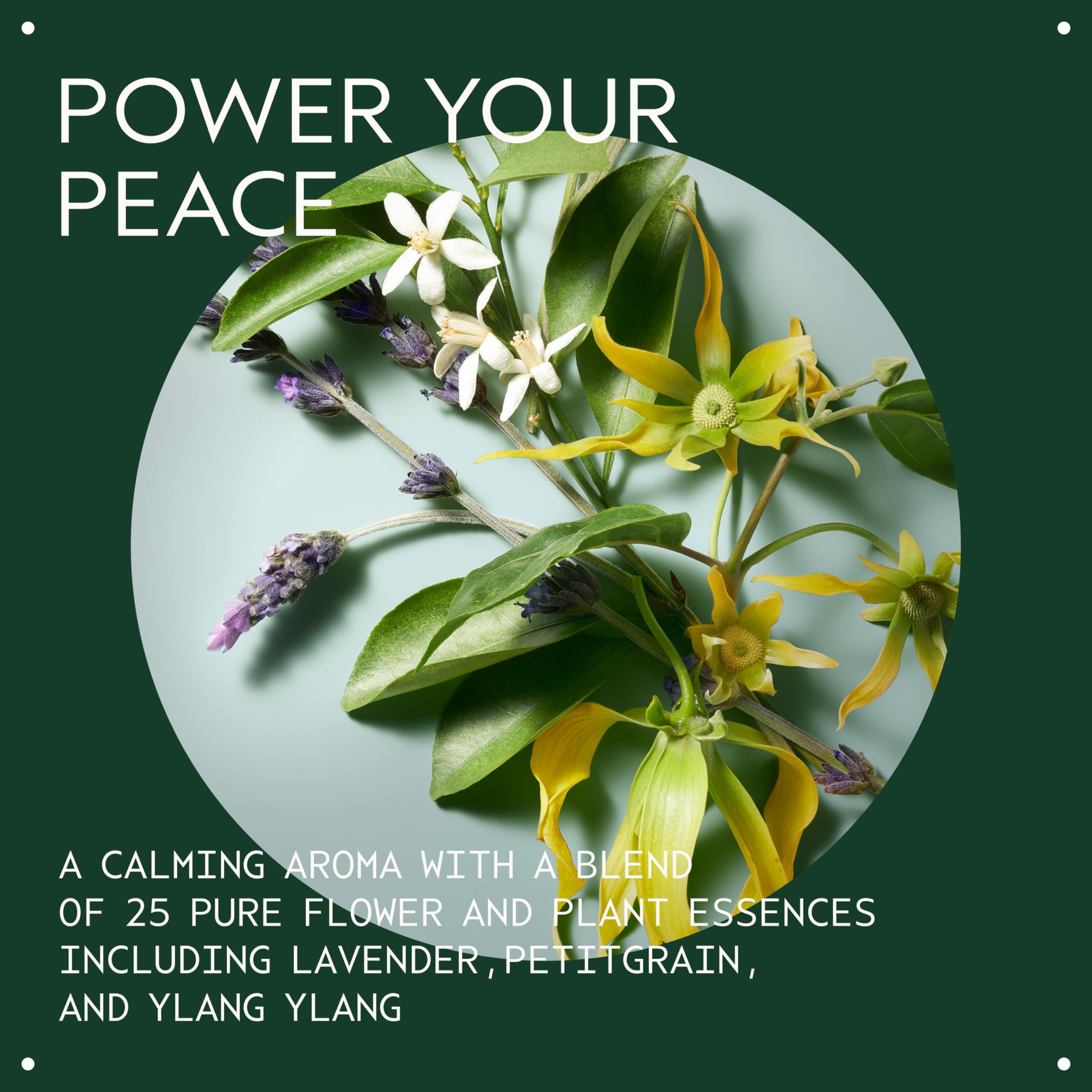 Aveda Shampure Nurturing Conditioner for Fine to Medium Hair | 98% Naturally Derived | 1000ml 3