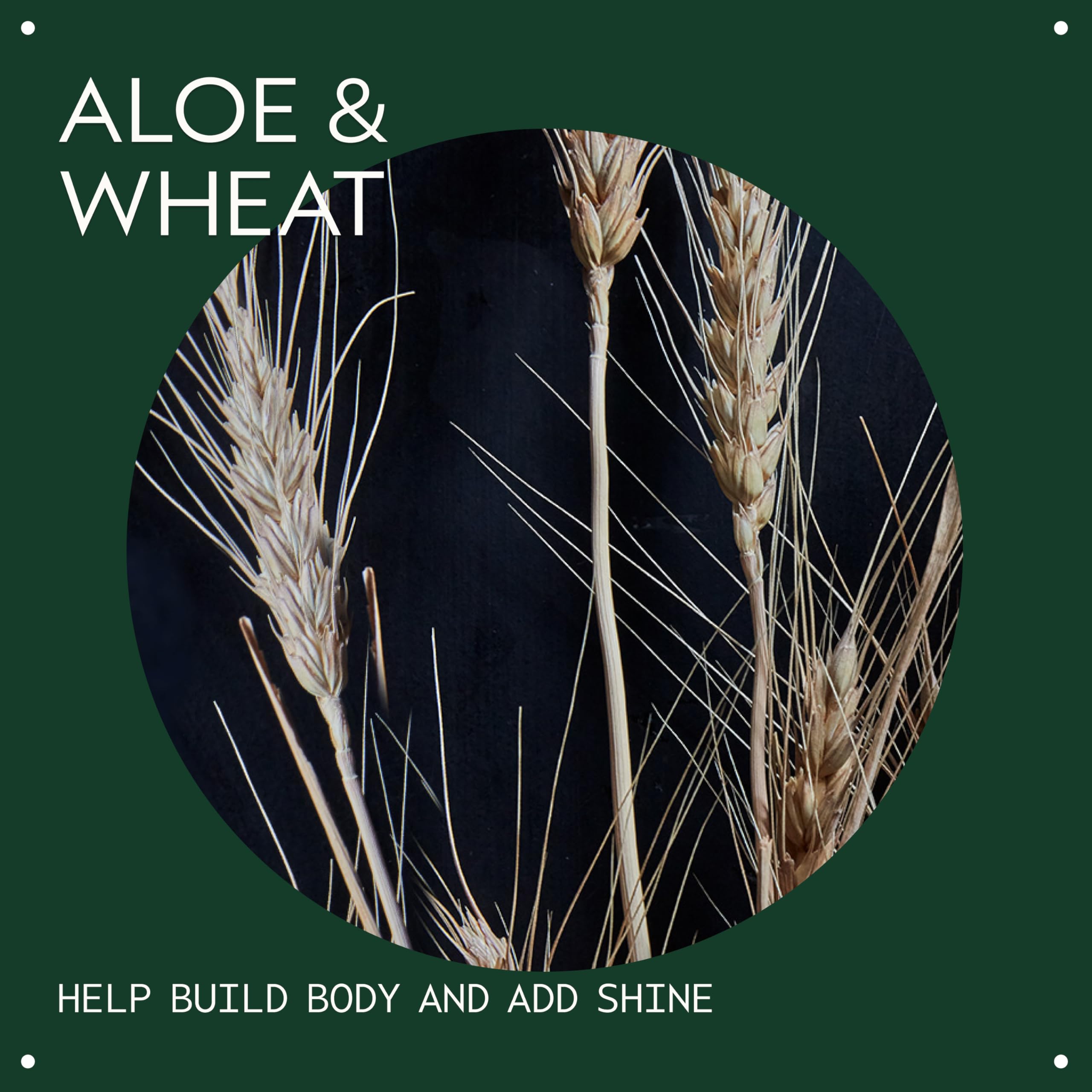 Aveda Volumizing Tonic | Haarvolumenspray für dünnes und feines Haar, 10 3