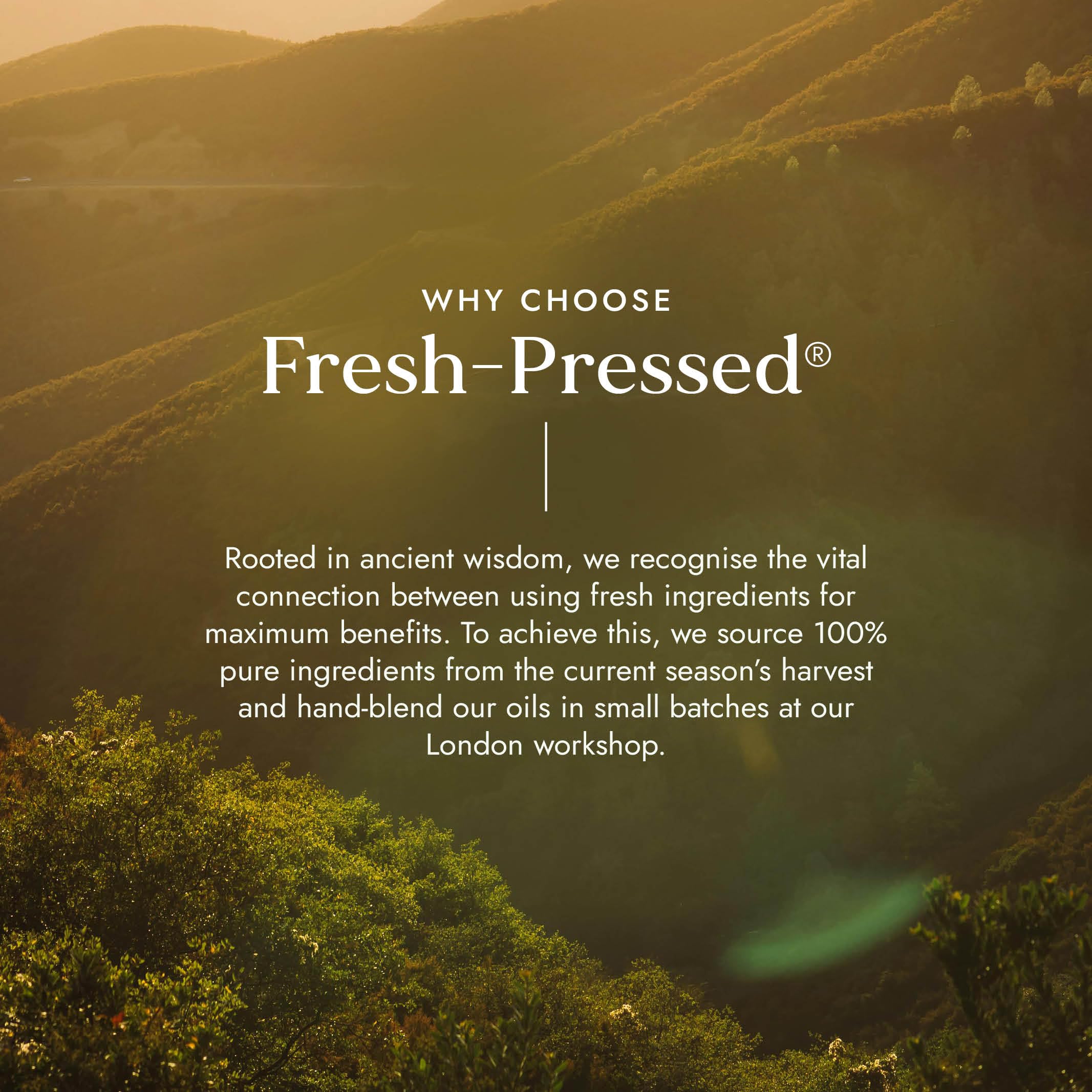 Fushi Bio-Rizinusöl 10 ml Roll &amp; Glow, 100 % rein, kaltgepresst, für trockene Haut, Wimpern und Augenbrauen – praktische Größe für unterwegs, hexanfrei, natürlich, lebensmittelecht 10