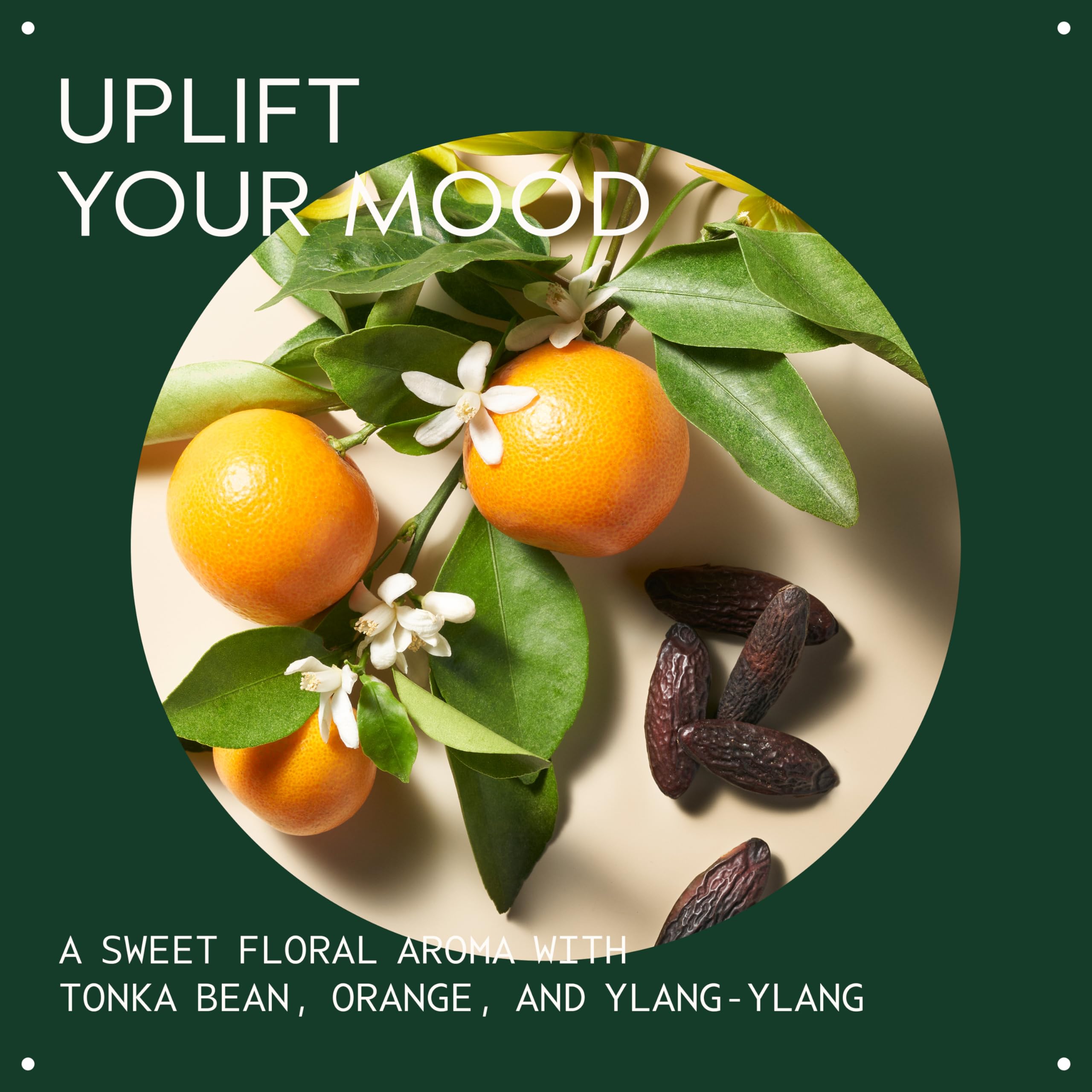 Aveda Cherry Almond Softening Shampoo | Gentle Daily Hair Cleanser 3