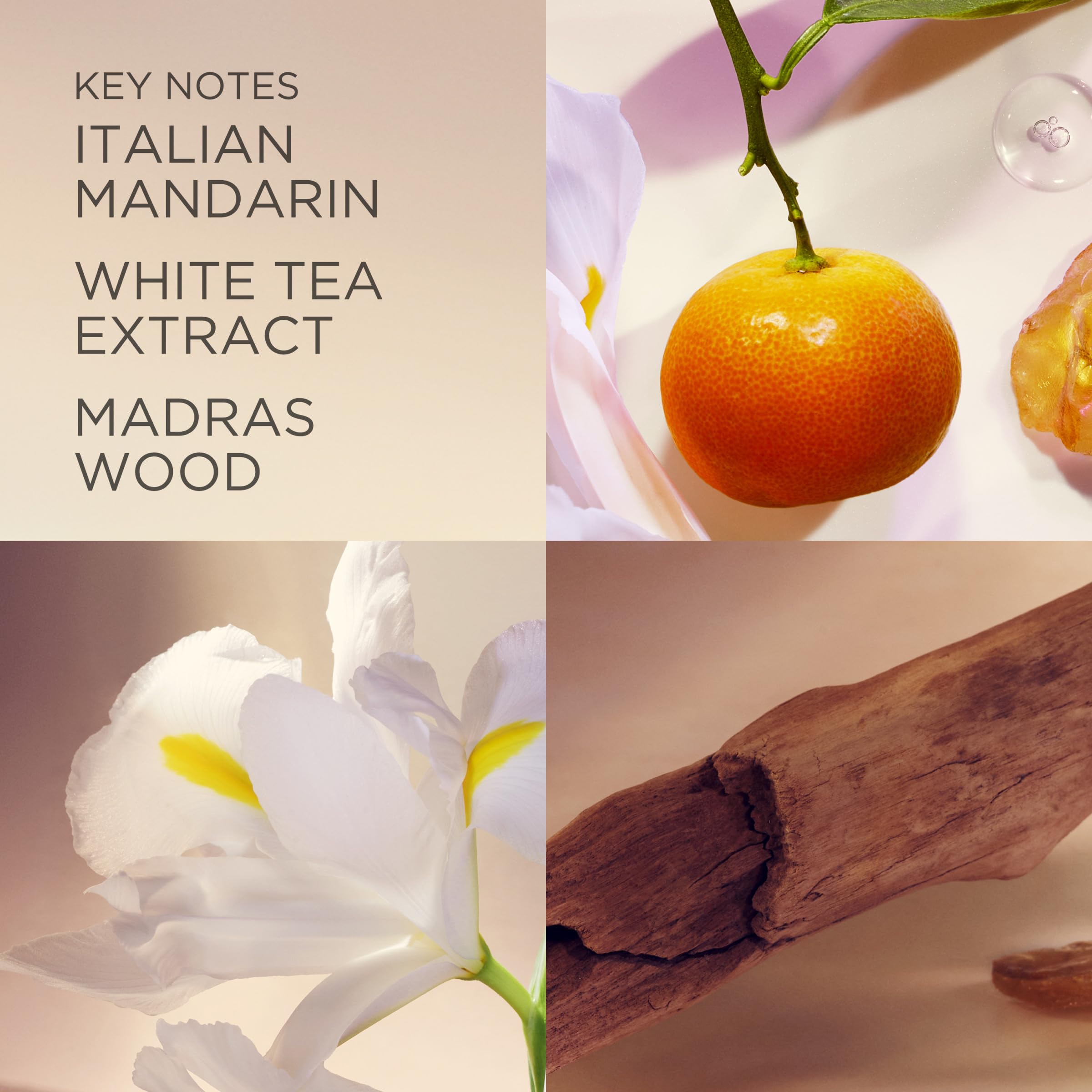 Elizabeth Arden White Tea Hand Cream, 30 ml - Moisturizing & Lightly Scented 3