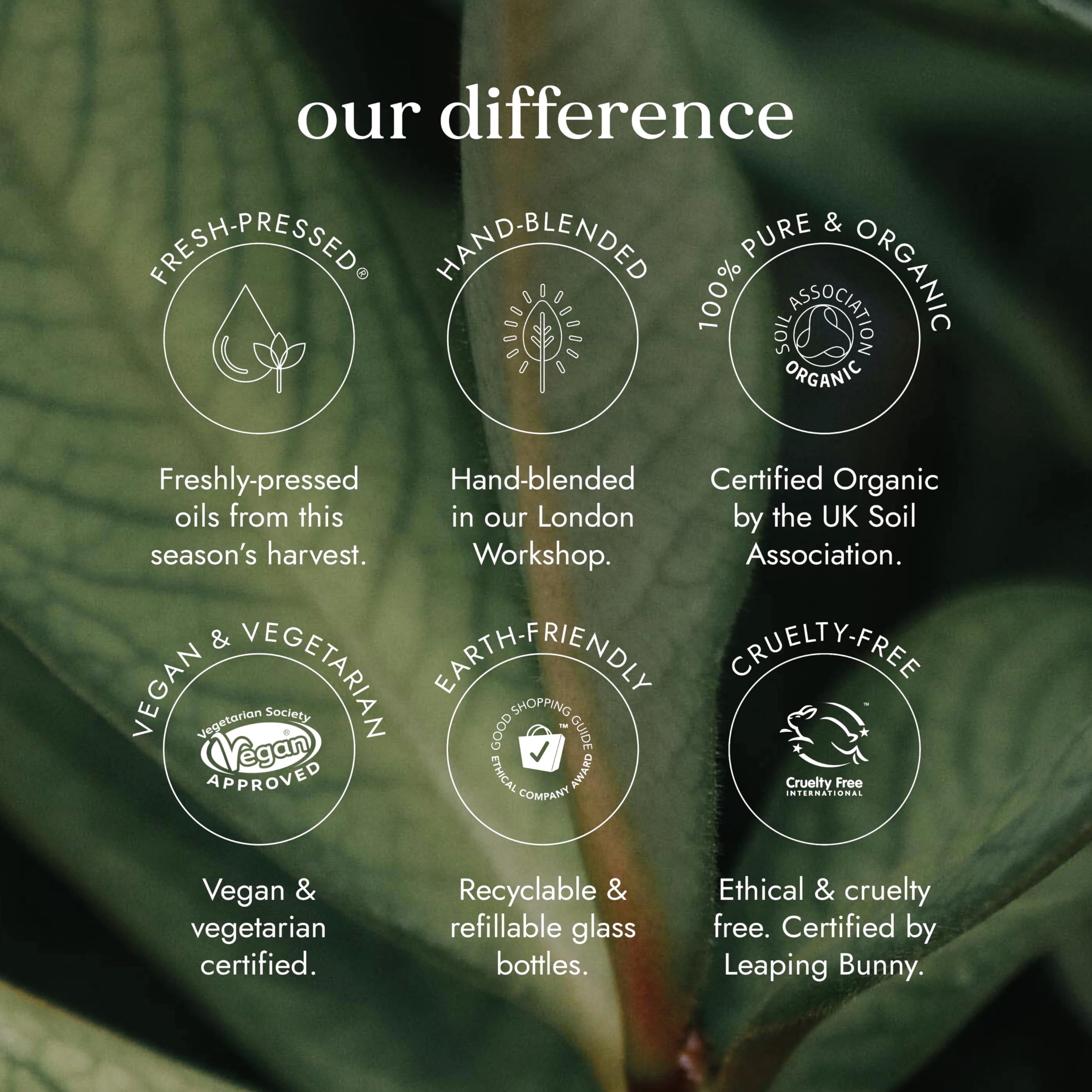 Fushi Bio-Hagebuttenkernöl 100 ml | mind. 18,3 µg/g Vitamin E | Frisch verarbeitet 5