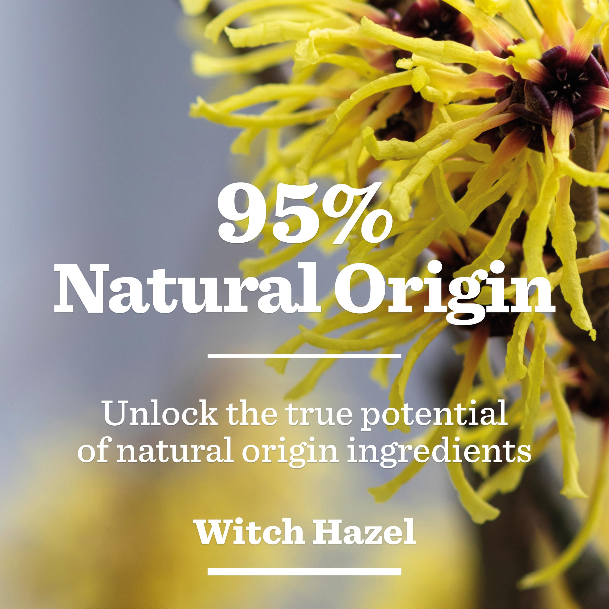 Bulldog Oil Control Moisturiser for Men, 100ml - Mattifying & Non-Greasy 4