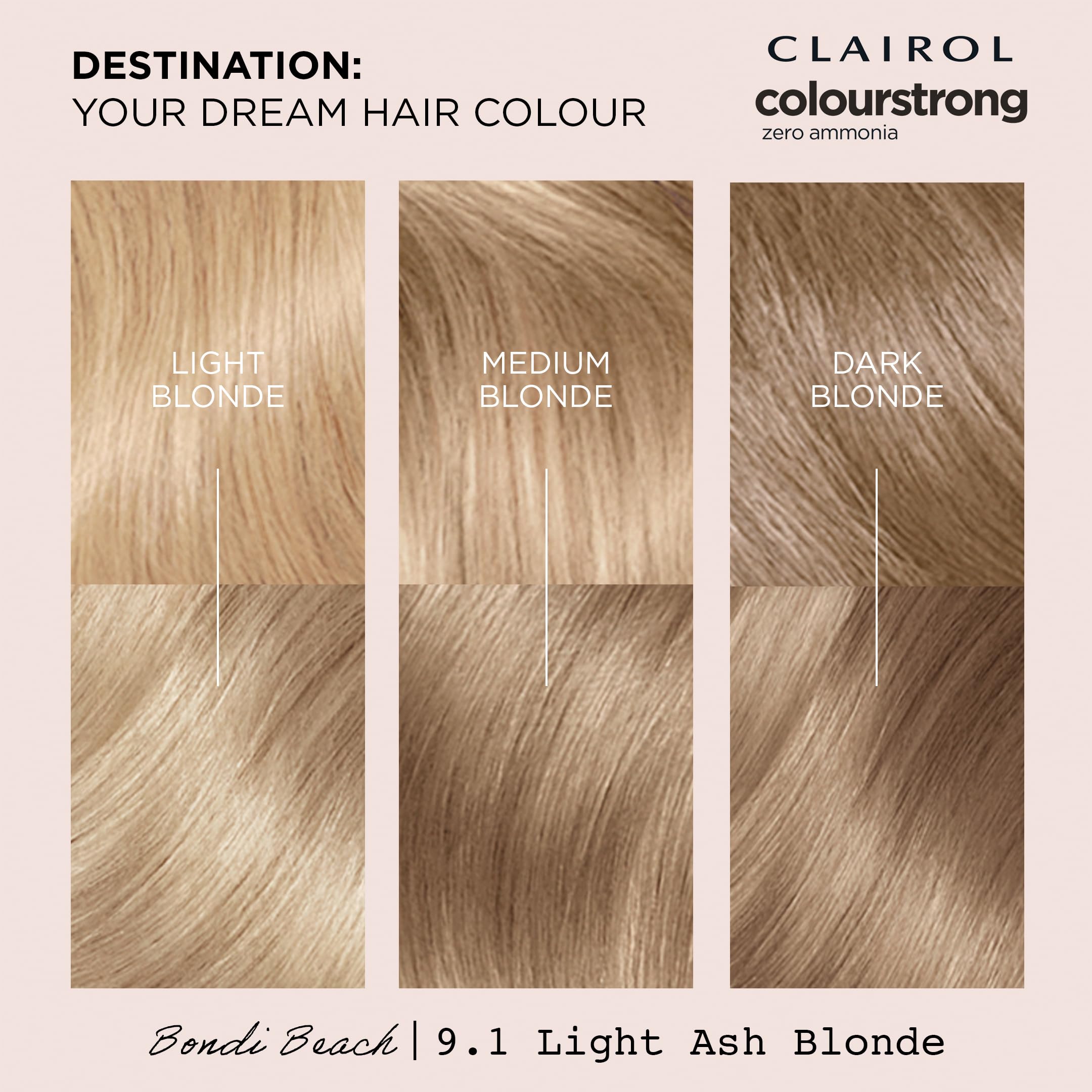 Clairol Colour Strong Permanente Haarfarbe – 9.1 Hellaschblond