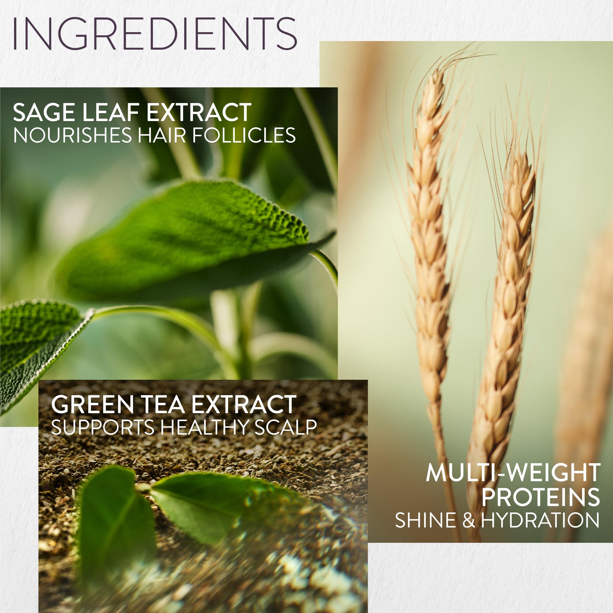 PUREOLOGY Hydrate Moisturising Conditioner for Medium to Thick Dry, Coloured Hair 6