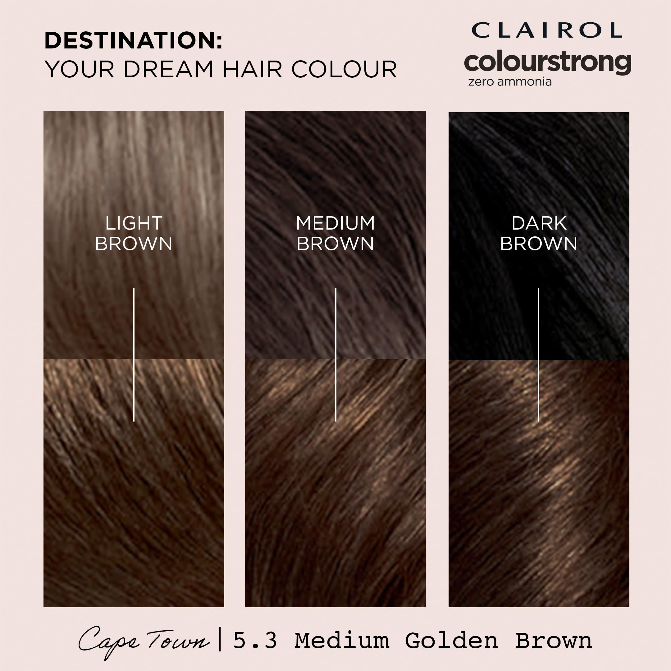 Clairol Colour Strong Permanente Haarfarbe – 5.3 Mittelgoldbraun