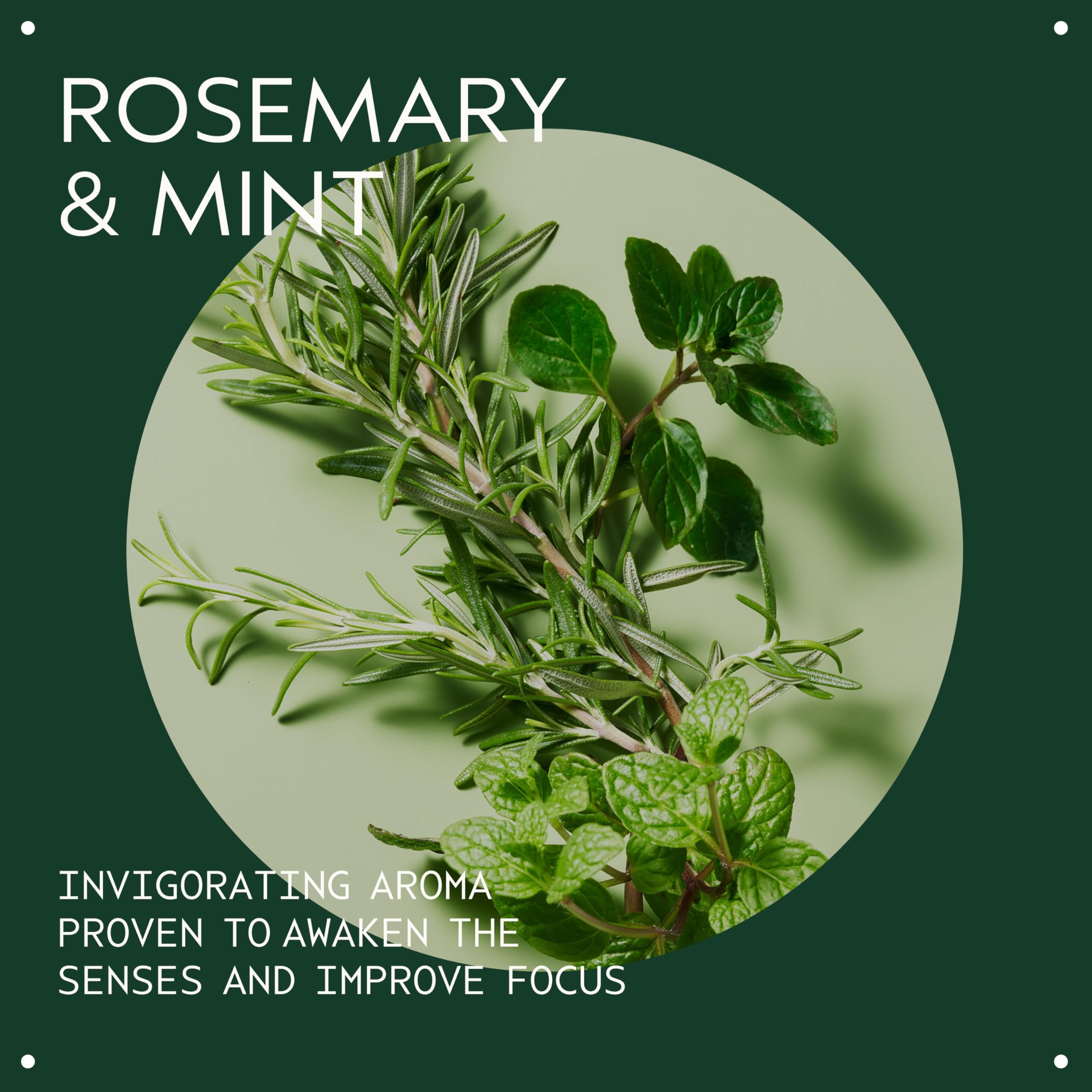 Aveda Rosemary Mint Purifying Shampoo | Clarifying, Adds Shine | For Normal to Oily Hair, Fine to Medium Hair Types | 250ml 3