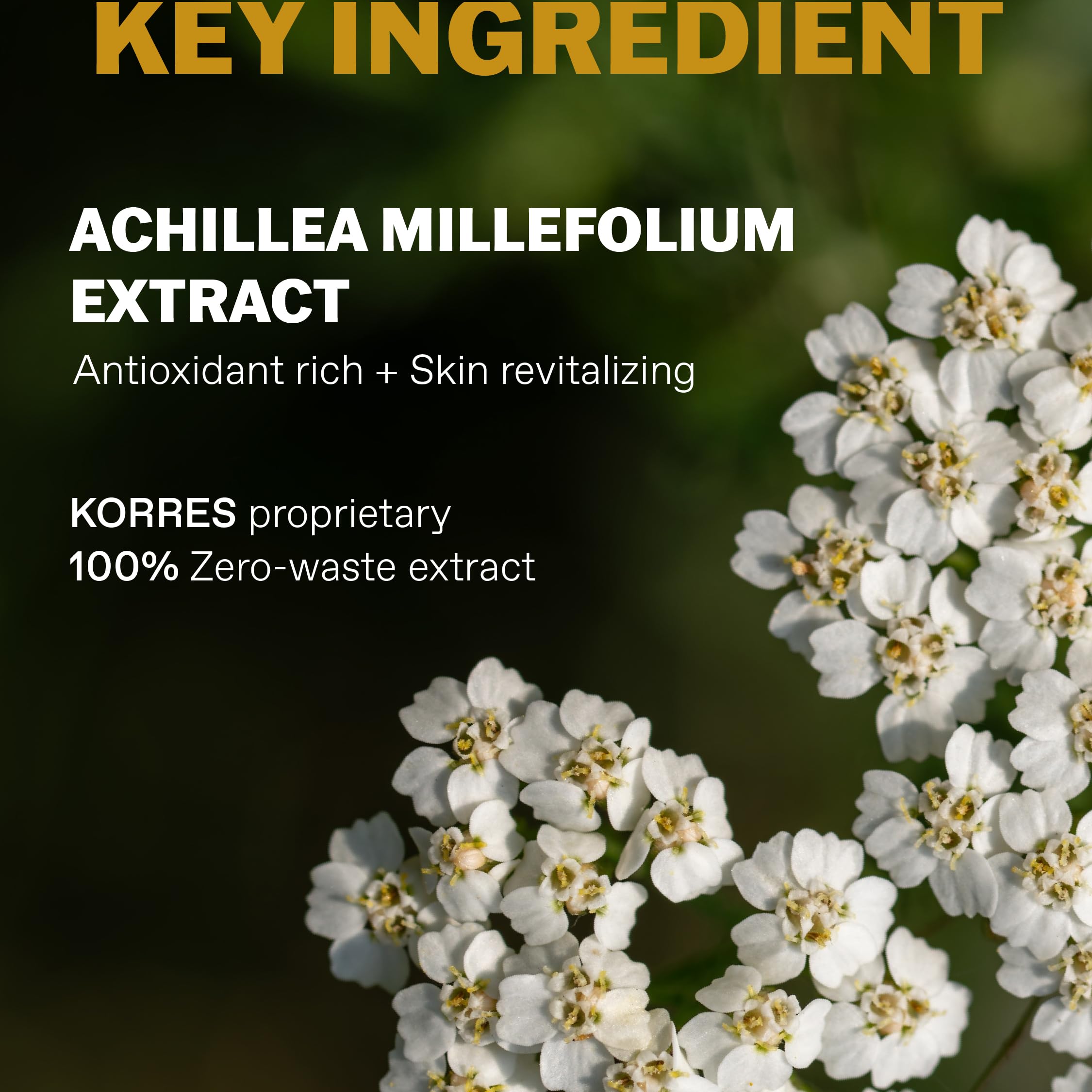 KORRES 2-in-1 Shampoo und Duschgel für Männer mit Bergamotte und natürlichen Wirkstoffen 4