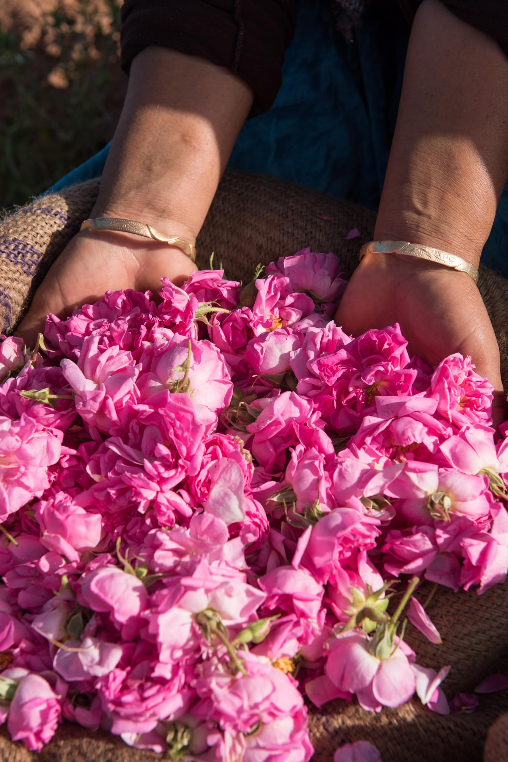 Weleda Organic Wild Rose Body Oil for Dry and Mature Skin, 100 ml 6