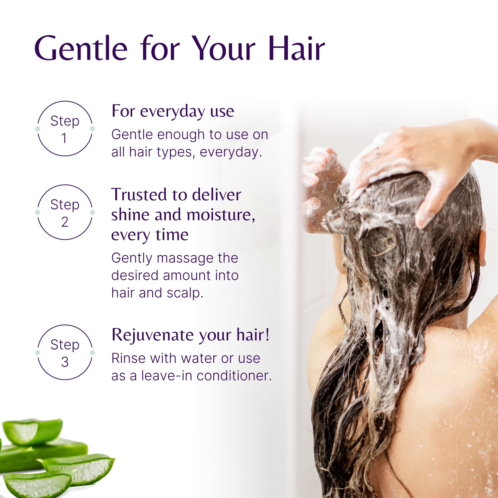 The House of Mistry Aloe Vera Jojoba Conditioner 200ml for Natural Hair Repair 5