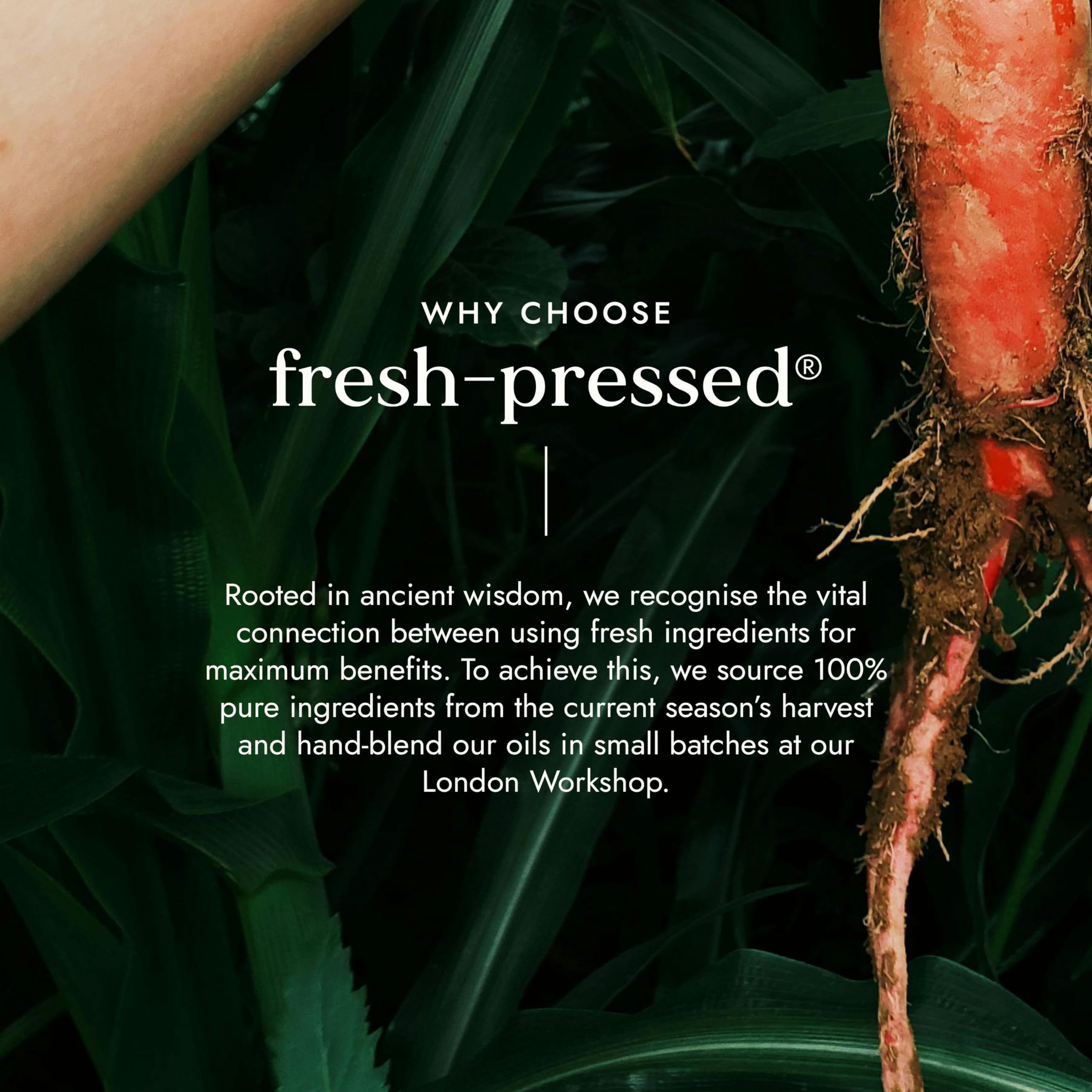 Fushi Fresh-Pressed Carrot Oil 30ml Rich in Beta Carotene for Sun Damaged Skin 7