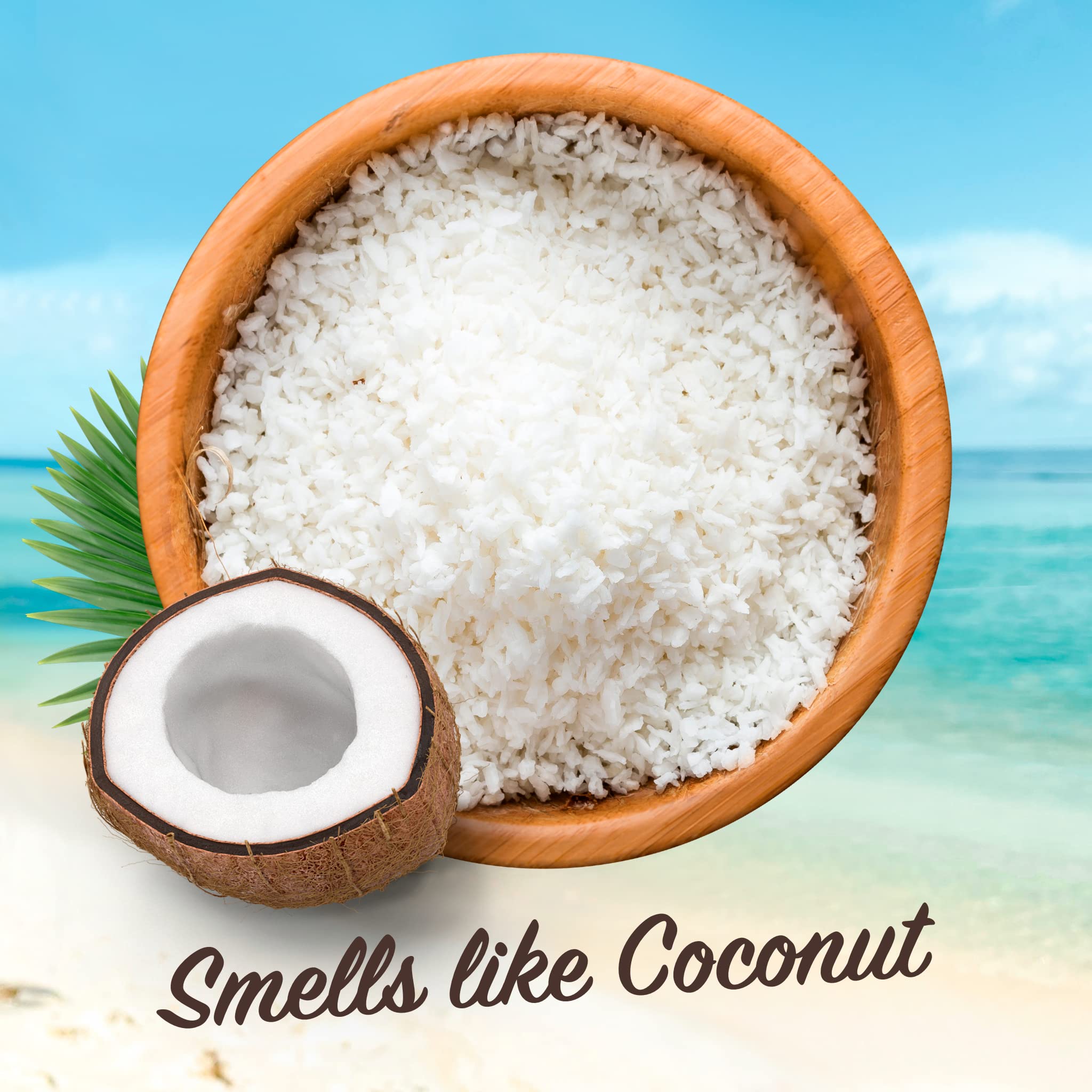 Malibu Sun SPF 8 Bronzing Tanning Oil with Coconut Scent, Water Resistant 5