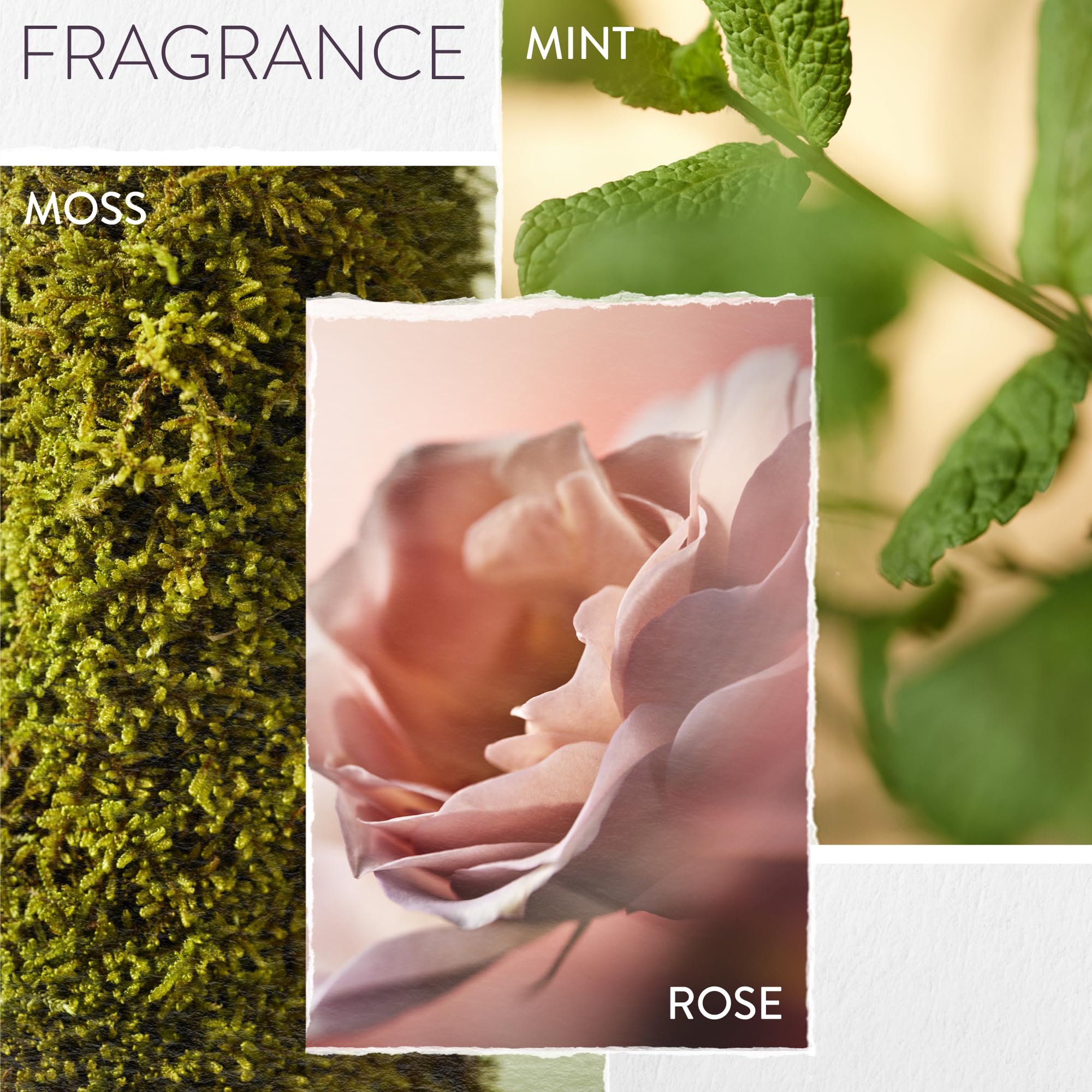 PUREOLOGY Hydrate Moisturising Conditioner for Medium to Thick Dry, Coloured Hair 7