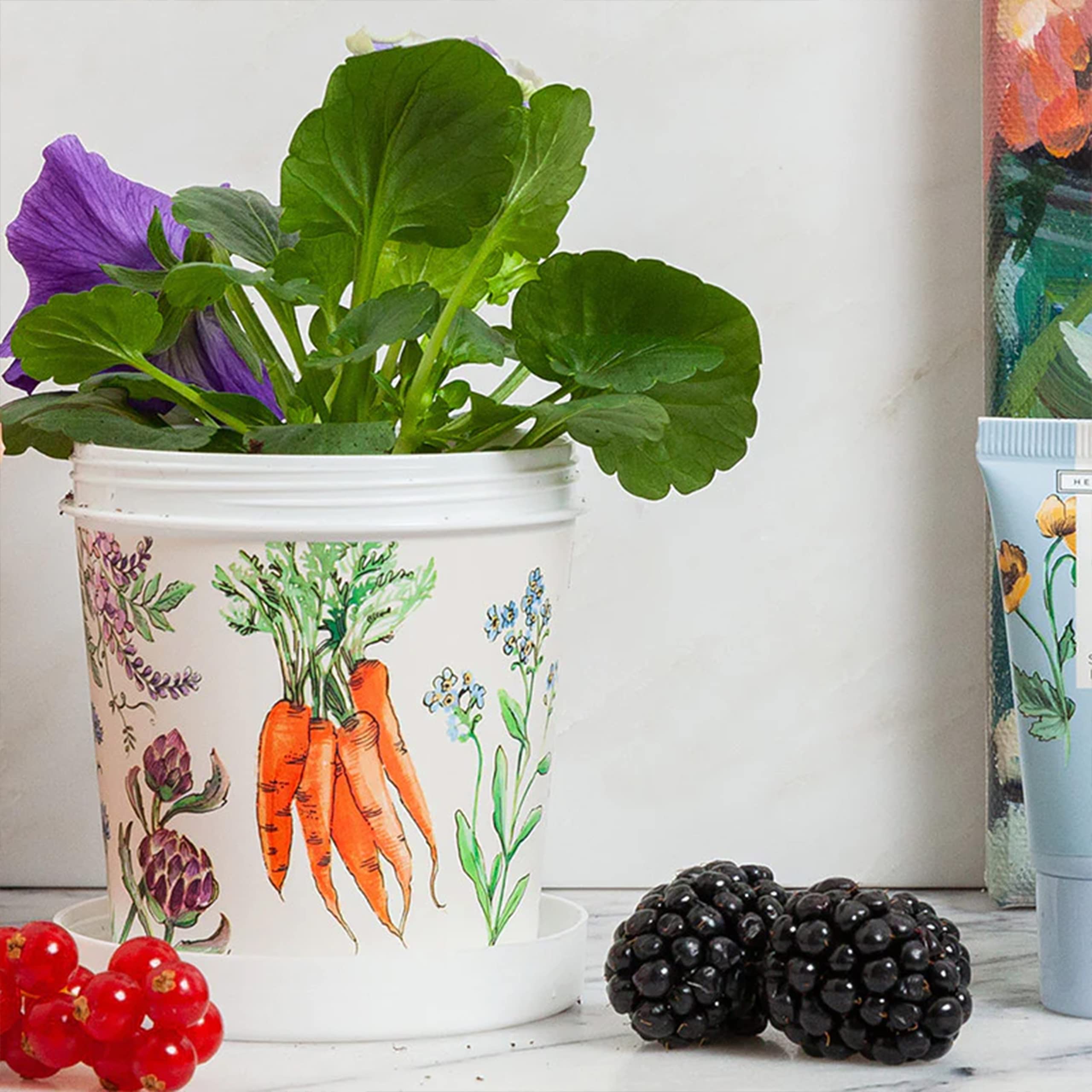 Heathcote & Ivory Hand Cream 200ml Barrier Cream with Shea Butter and Vitamin E 3