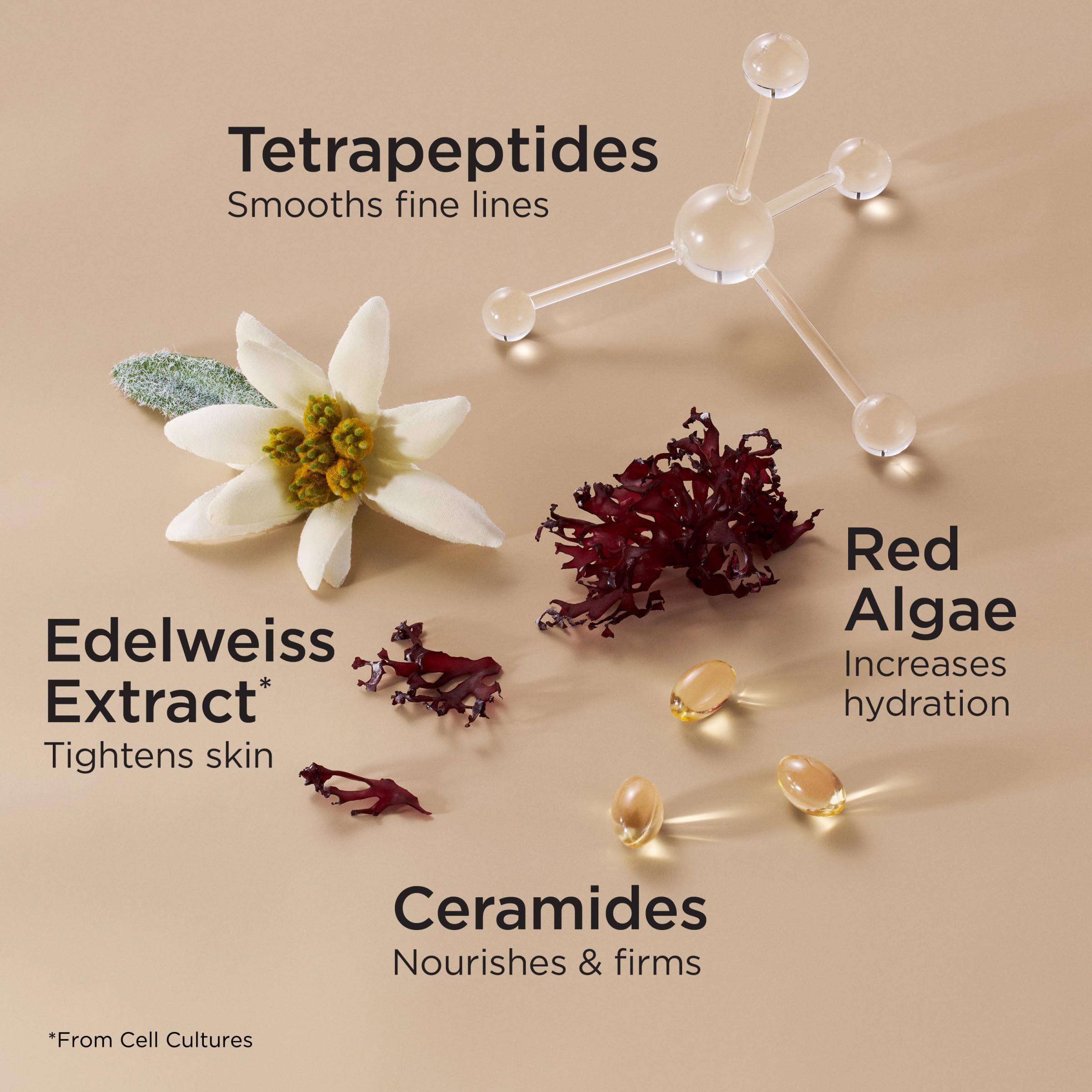 Elizabeth Arden Advanced Ceramide Lift and Firm Night Cream 50ml 7