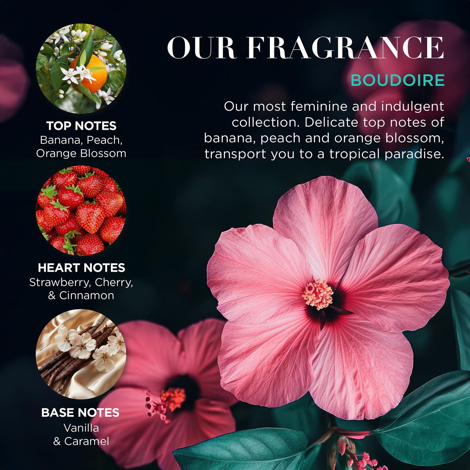 Baylis &amp; Harding Boudoire Tropical Paradise Luxus-Verwöhnset in der Dose – veganfreundlich 4