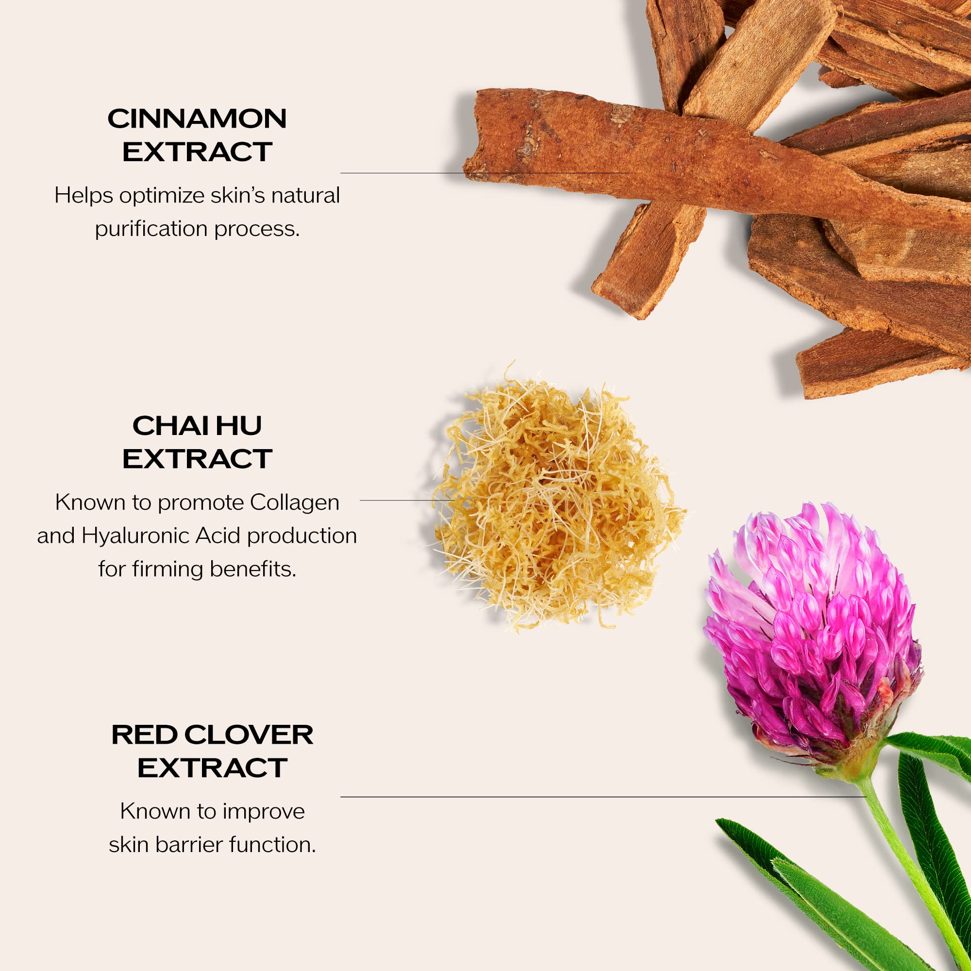 Shiseido Bio-Performance Skin Filler Serum Day & Night Set (2 x 28.35g) 4