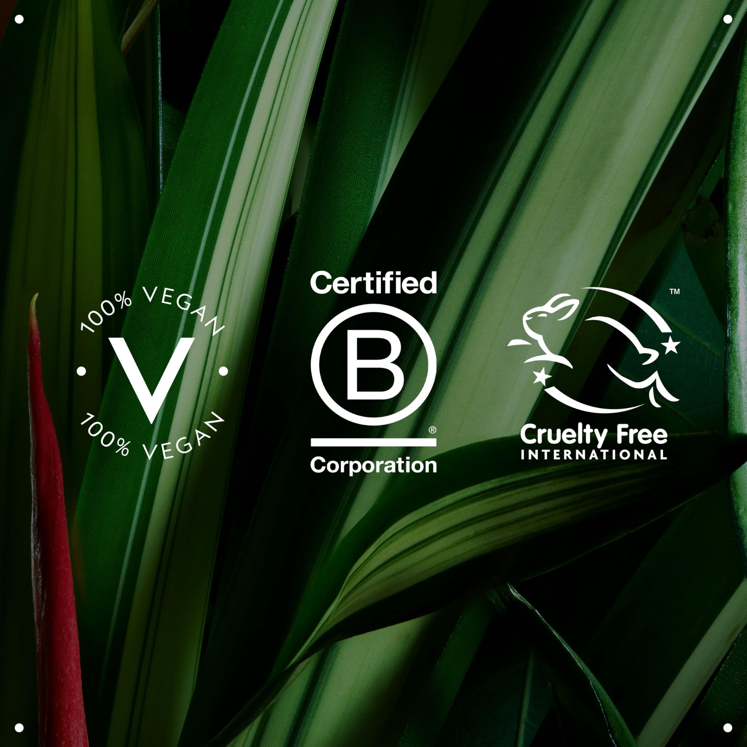 Aveda Botanical Repair Strengthening Leave-In Treatment for Damaged Hair 7