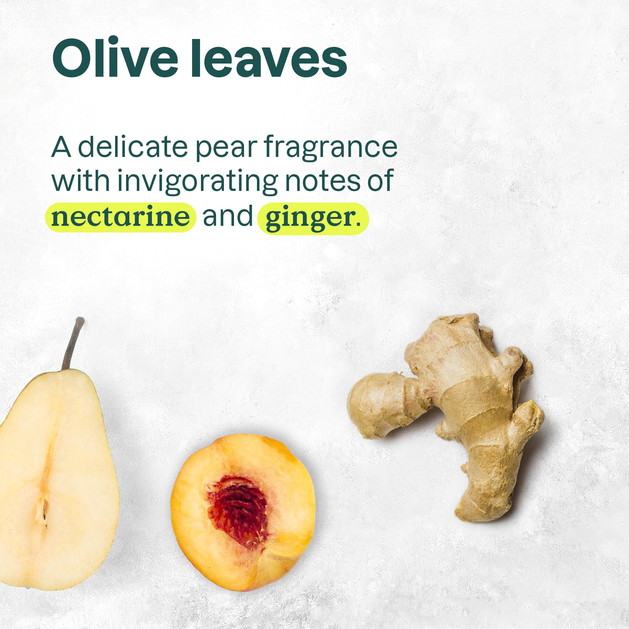 ATTITUDE Nourishing Hair Conditioner for Dry and Damaged Hair with Grapeseed Oil 5