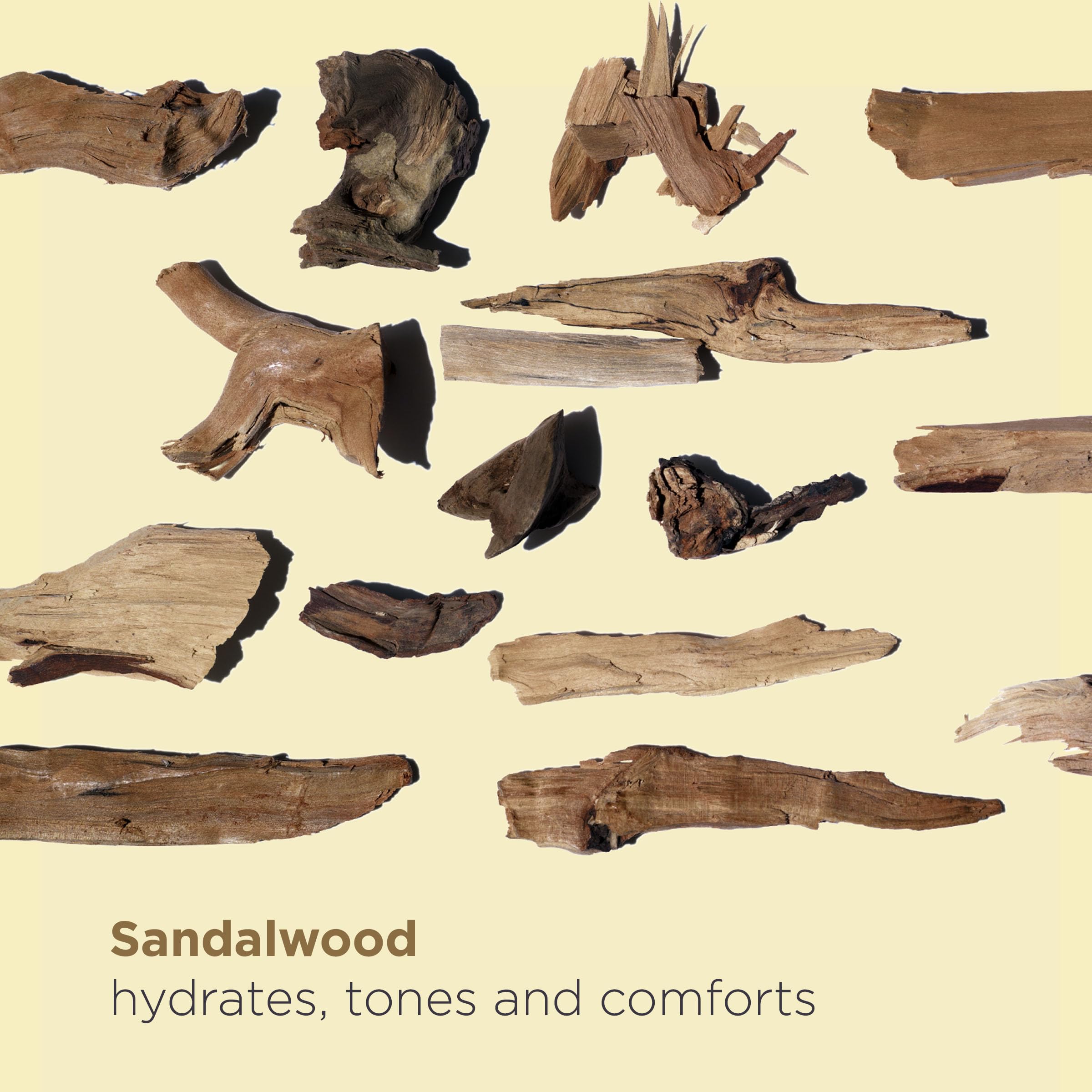 CLARINS Santal Face Treatment Oil 30ml 3