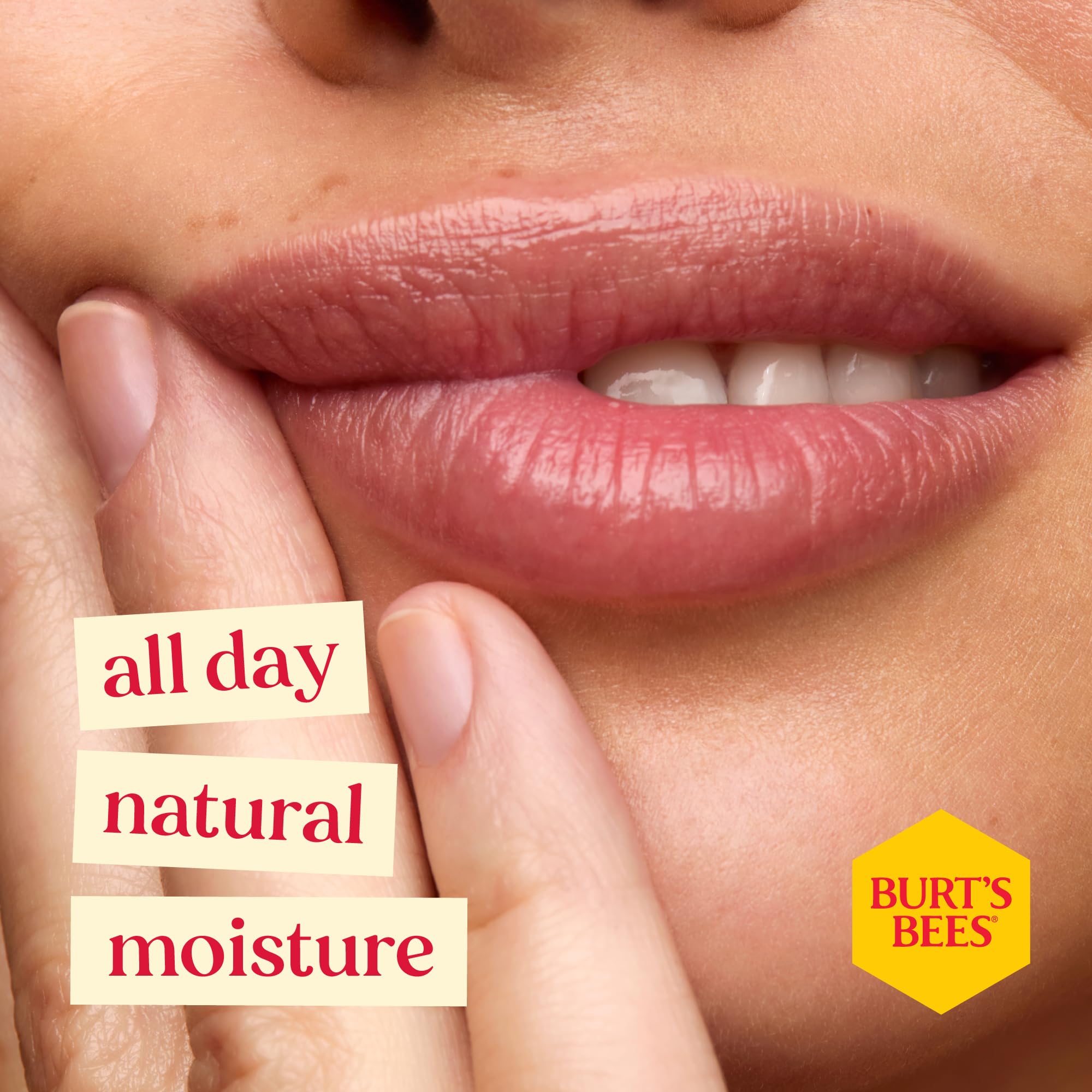 Burt's Bees Lippenbalsam Geburtstagskuchen, Feuchtigkeitsspendender Lippenbalsam mit Bienenwachs und 4