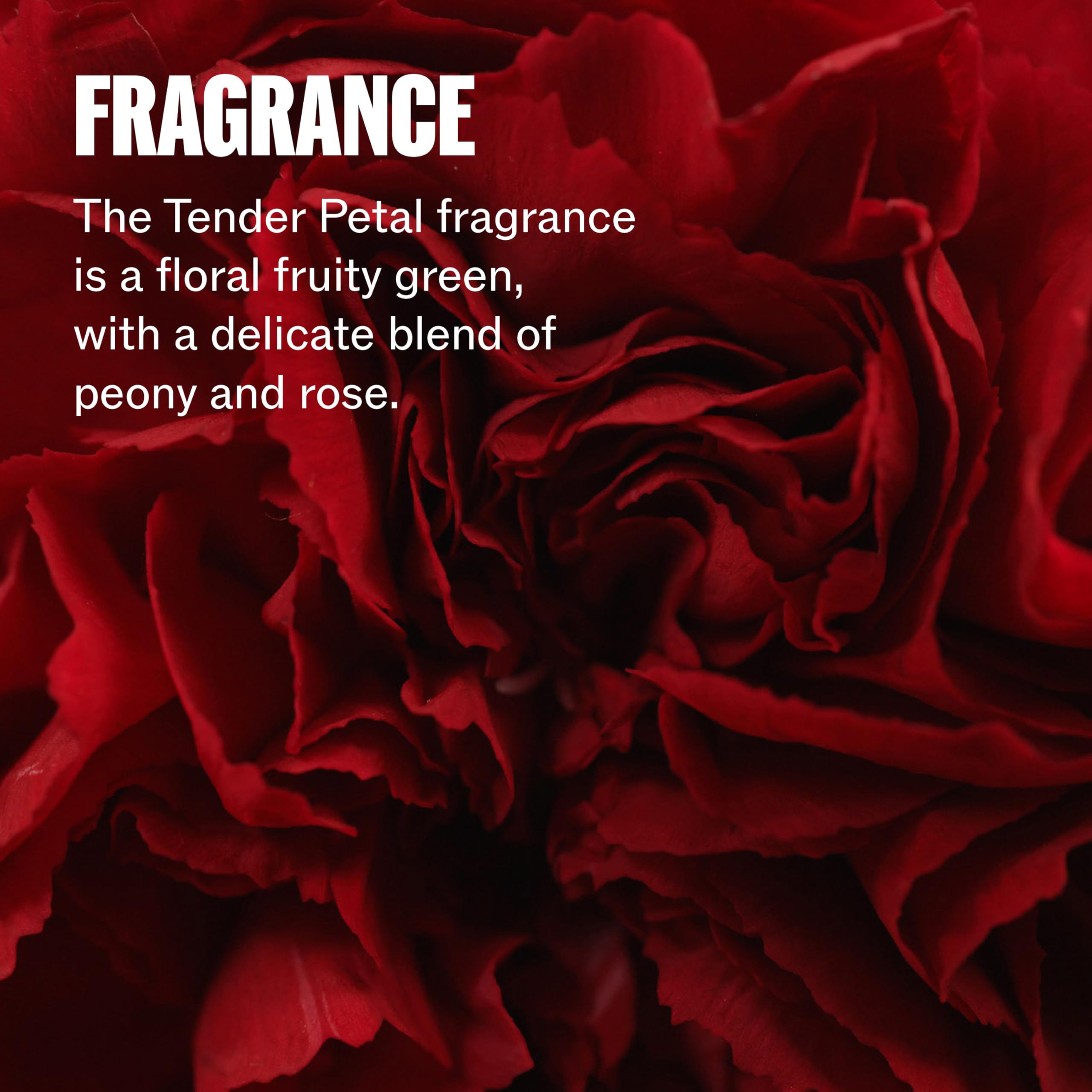 Wella Professionals Ultimate Repair Night Hair Serum – Lightweight Leave-in Treatment 9