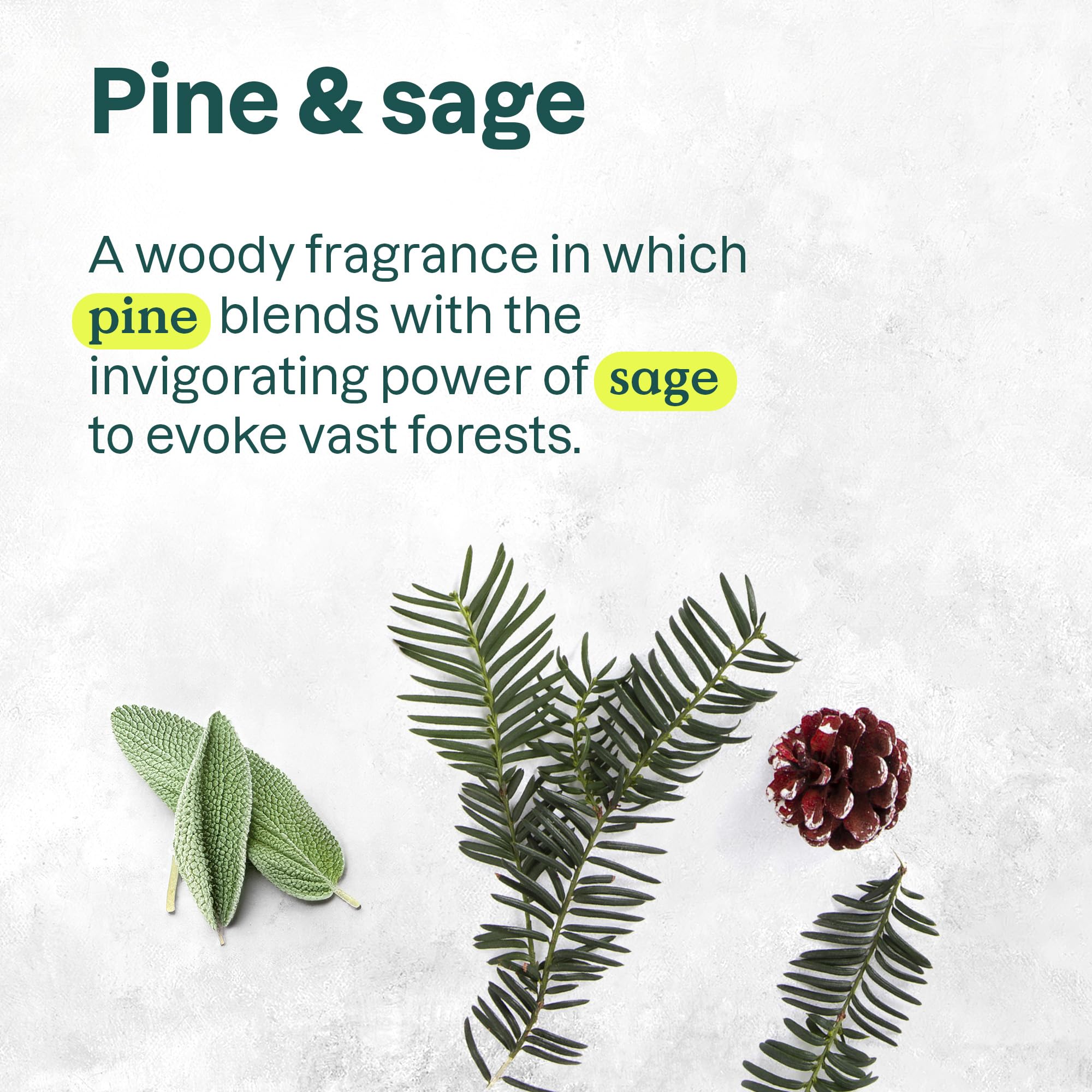 ATTITUDE EWG Verified Liquid Hand Soap with Glycerin, Pine & Sage Scent 4